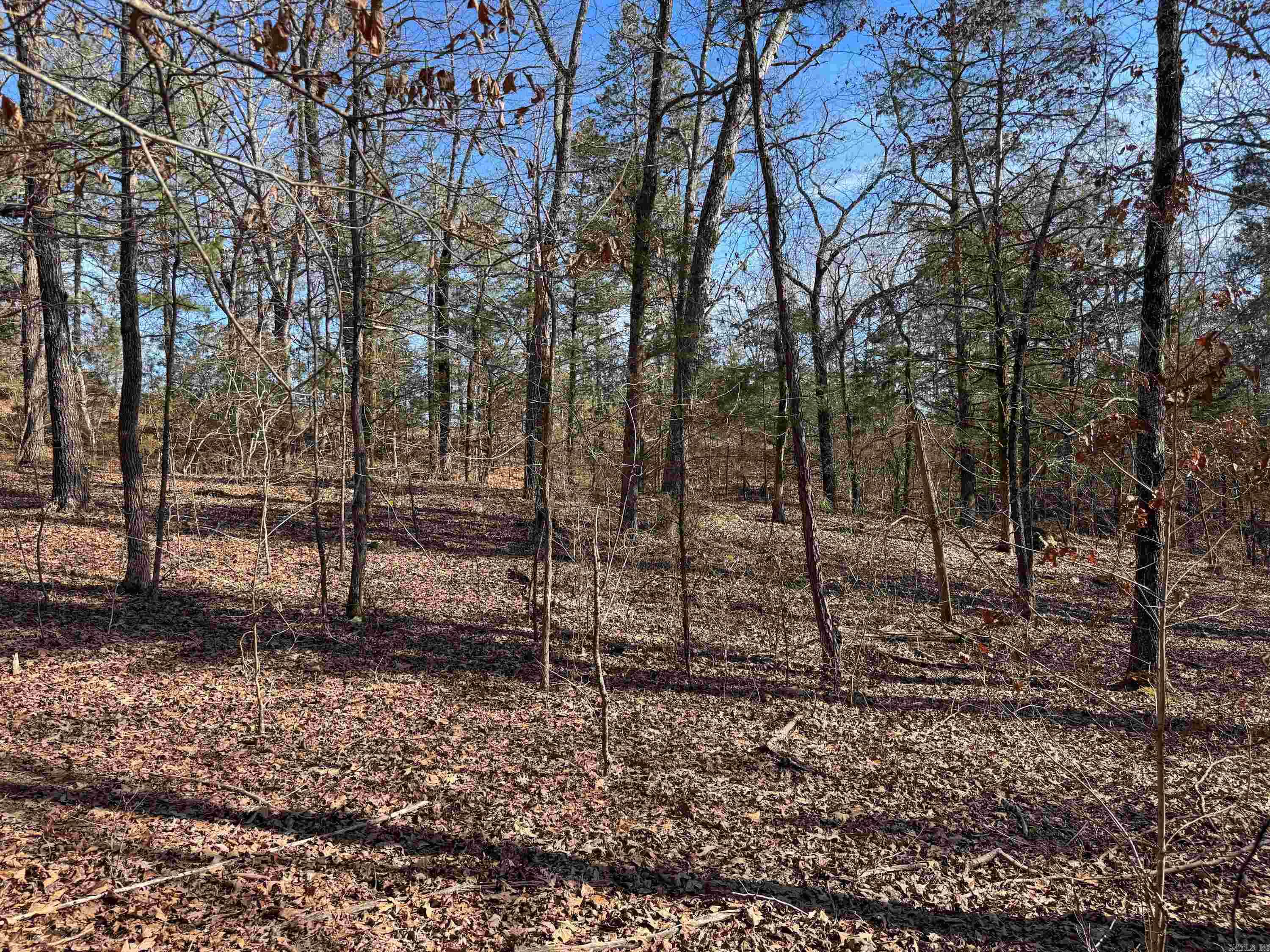 181 Old Springfield  Quitman, AR