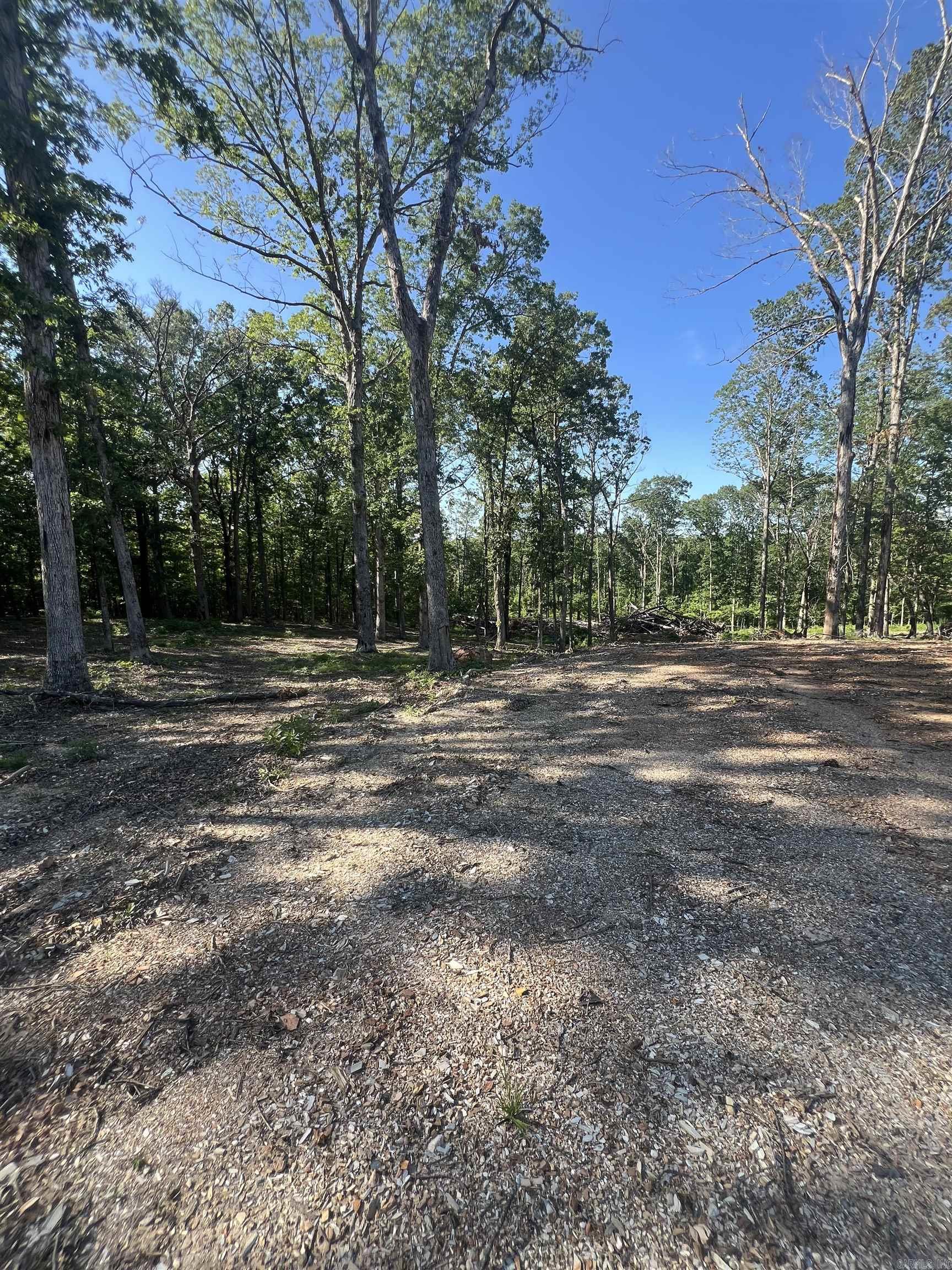 4802 Reed  Alexander, AR