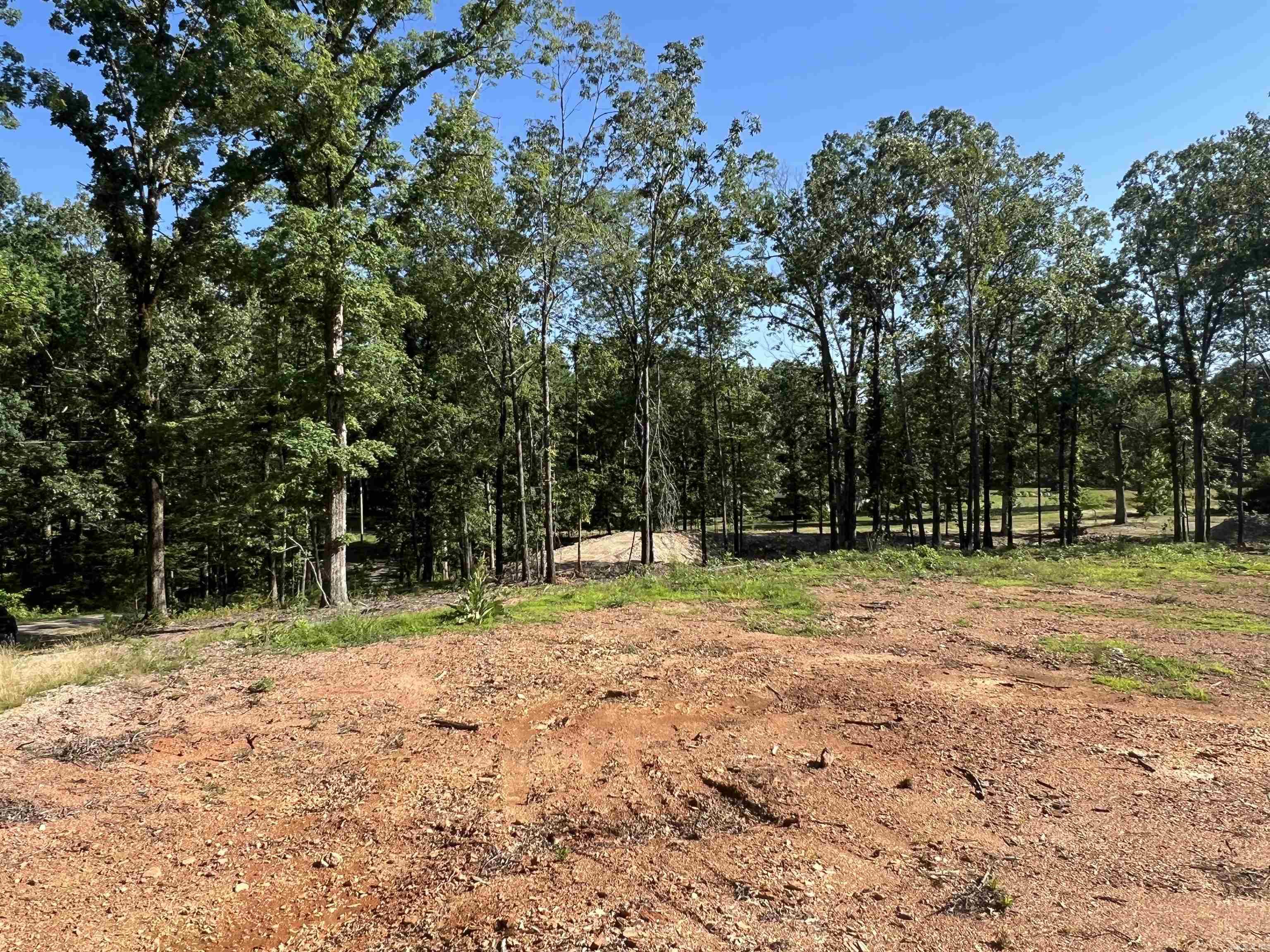 4802 Reed  Alexander, AR