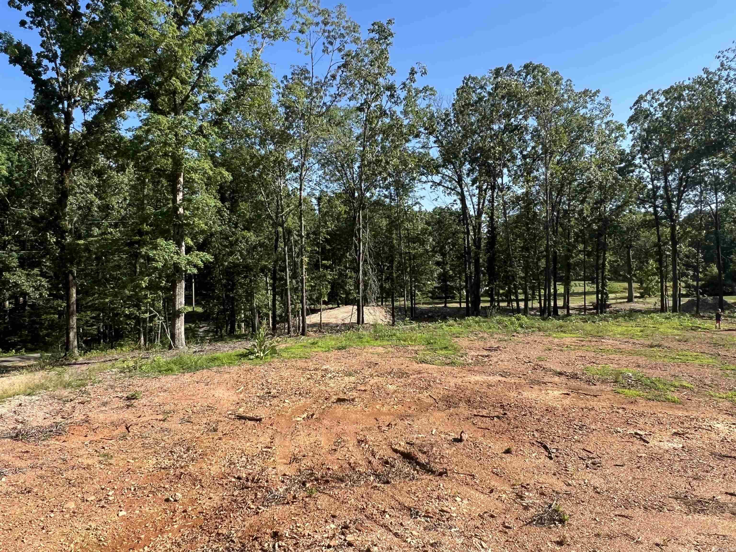 4802 Reed  Alexander, AR