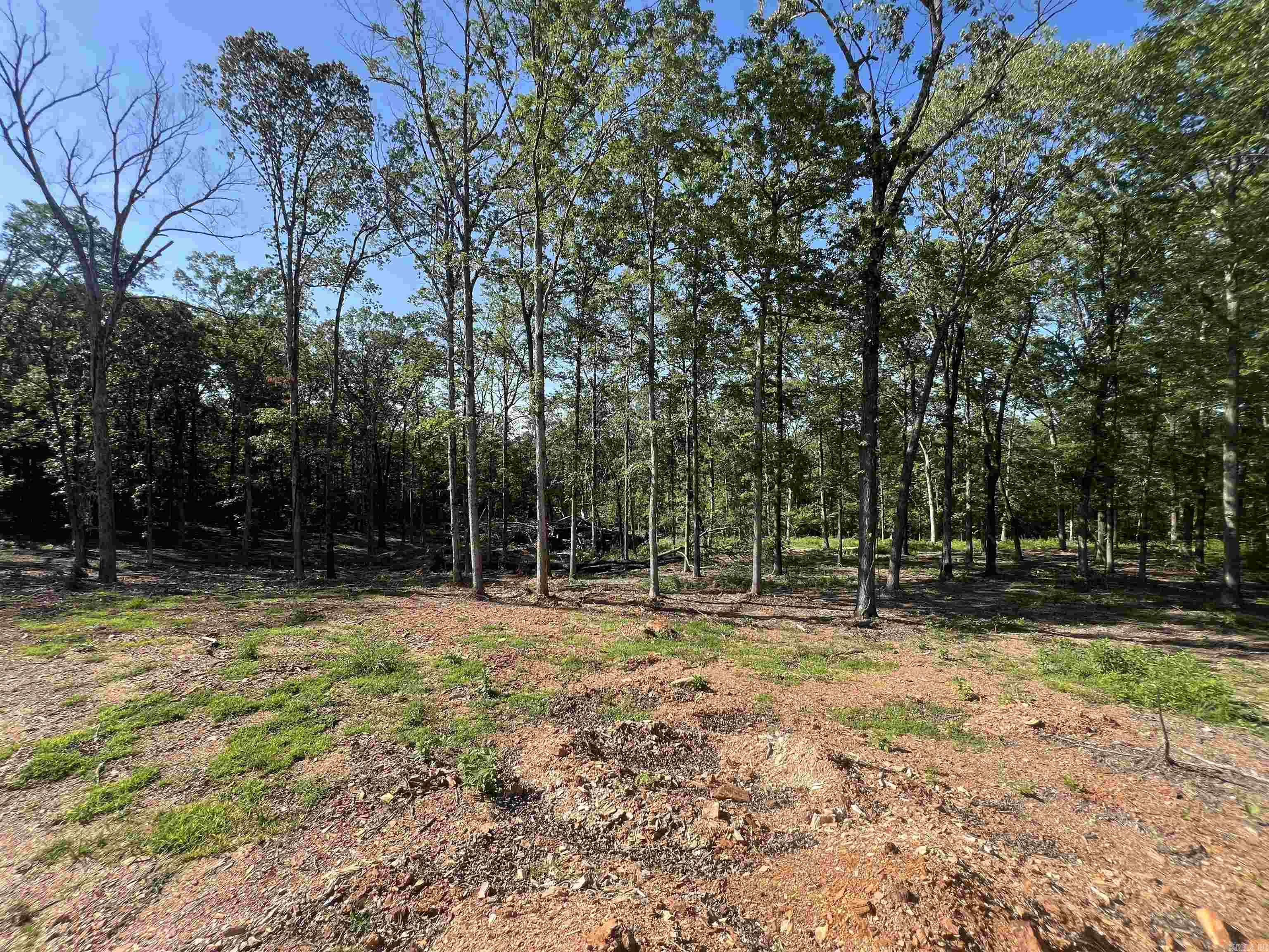 4802 Reed  Alexander, AR