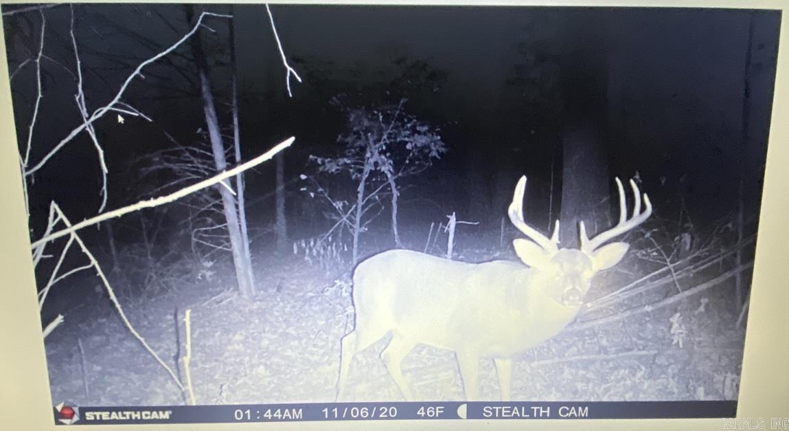 303 Duren  Cabot, AR