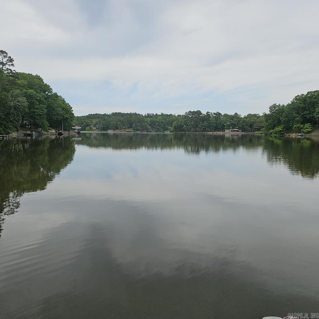 65 Alicante Way  Hot Springs Village, AR