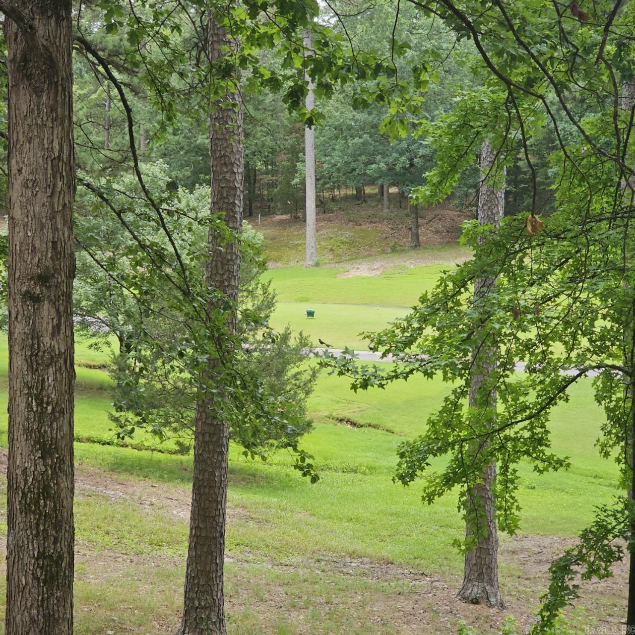 127 Cifuentes Way  Hot Springs Village, AR