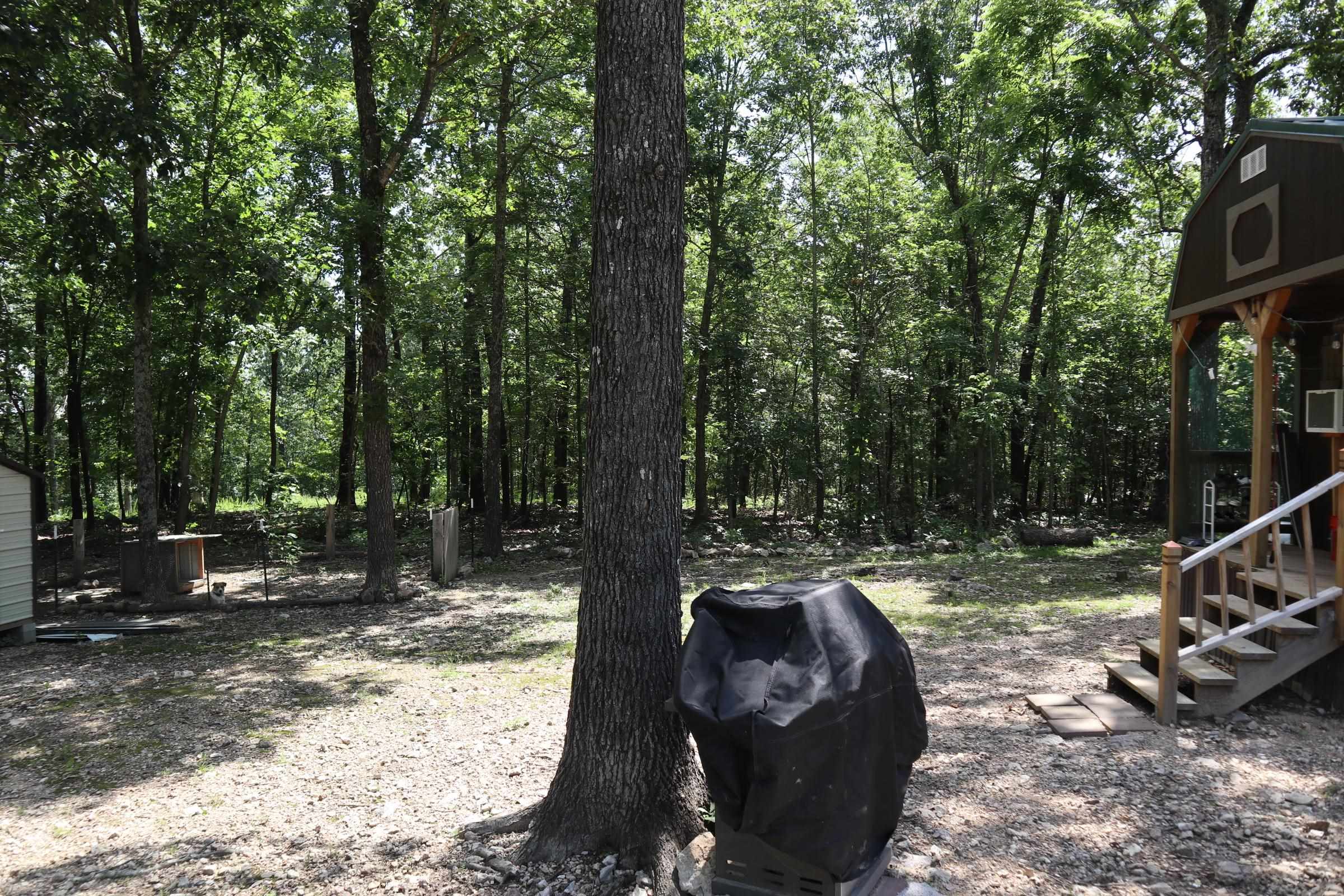 1371 Handcove Rd  Elizabeth, AR