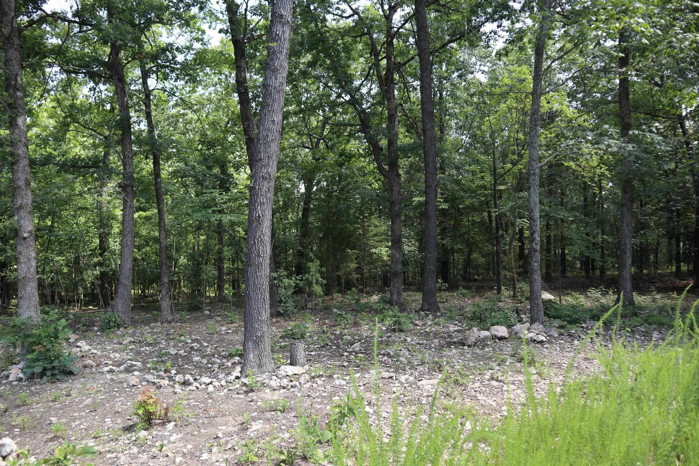 1371 Handcove Rd  Elizabeth, AR