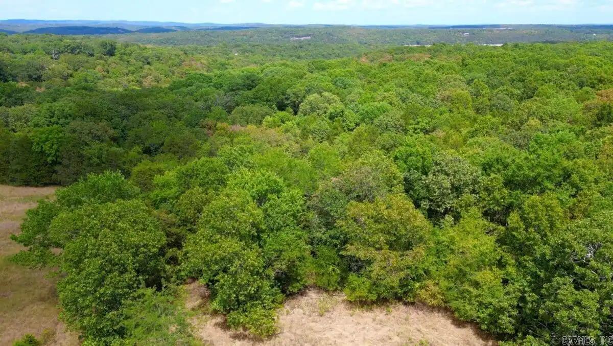 000 Cedar Creek  Diamond City, AR