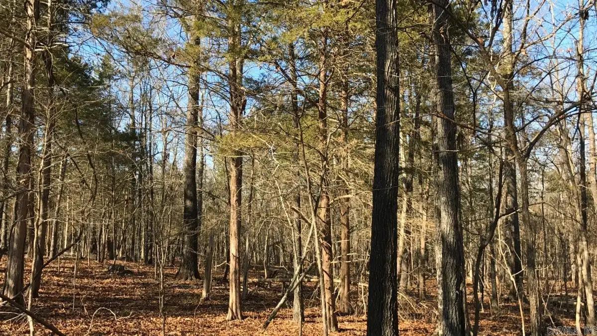 000 Cedar Creek  Diamond City, AR
