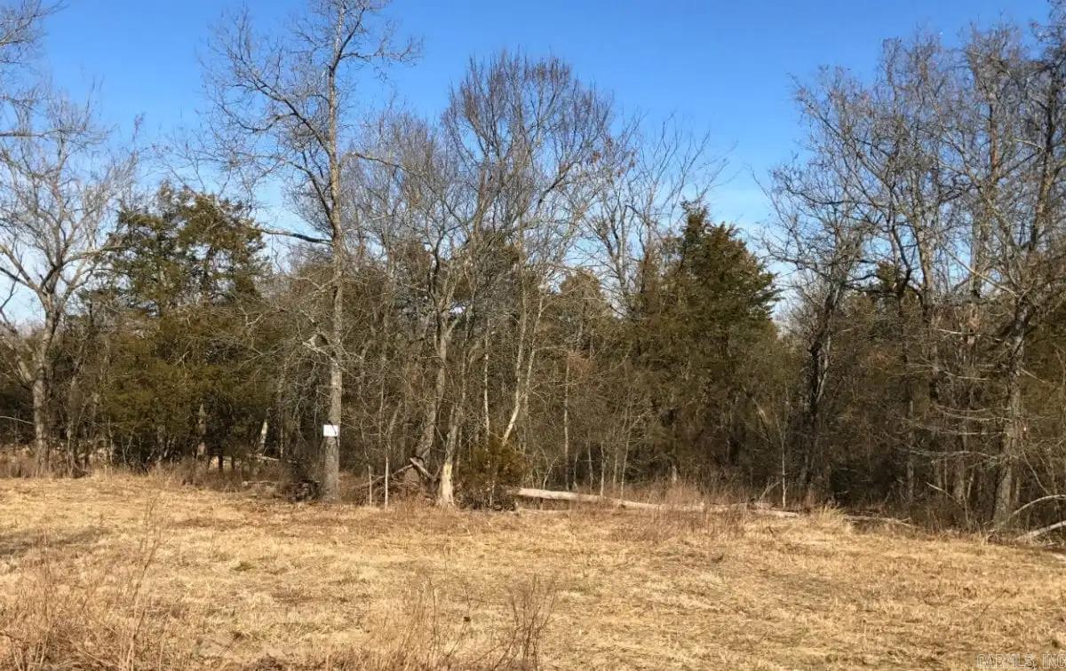000 Cedar Creek  Diamond City, AR