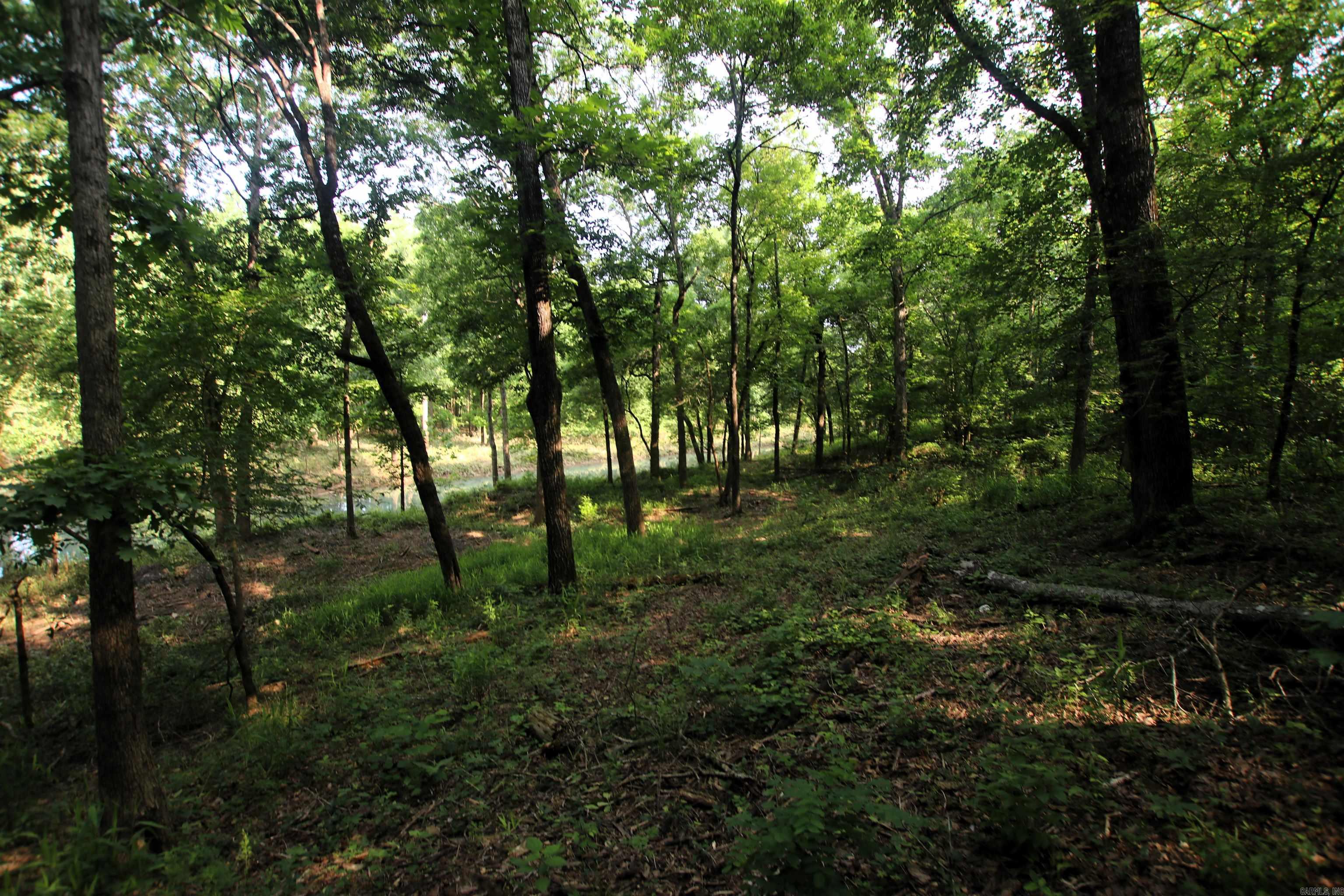 000 Drivers Creek  Scotland, AR
