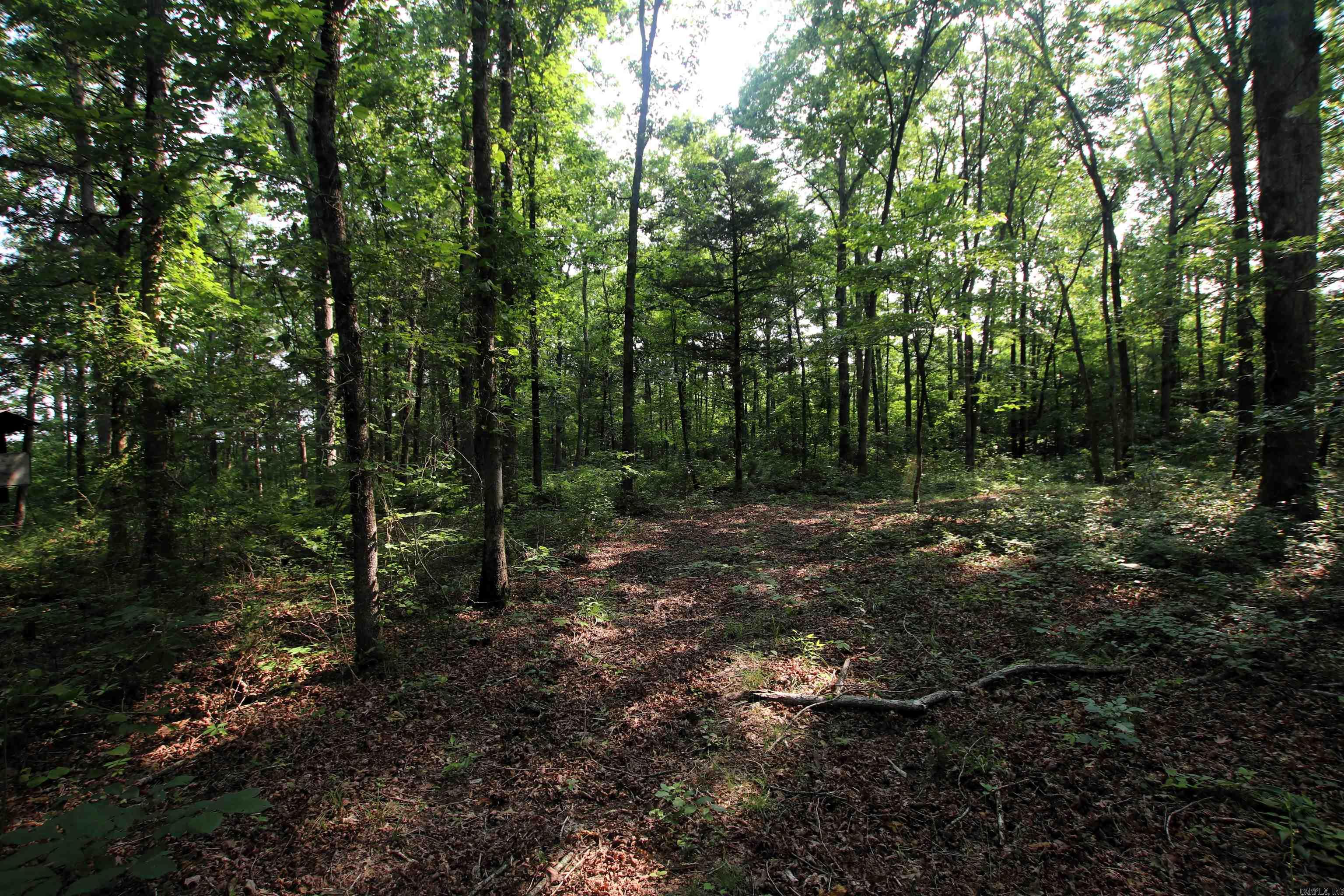 000 Drivers Creek  Scotland, AR