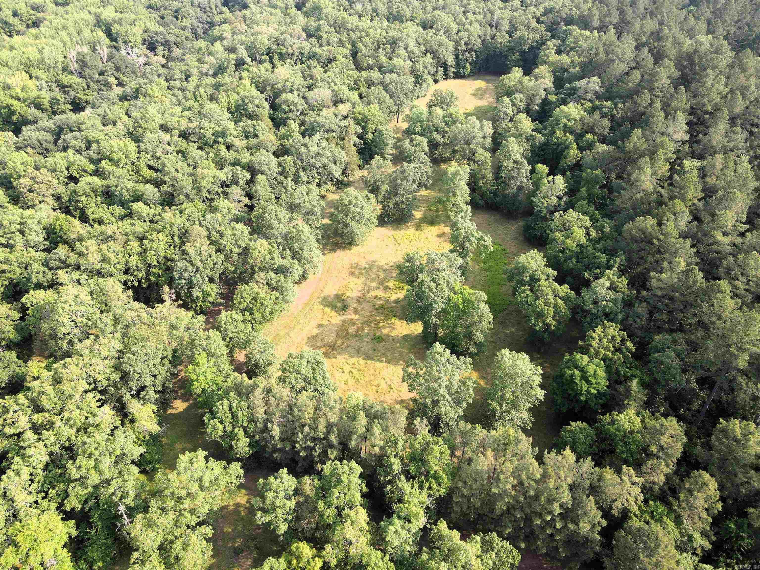 000 Drivers Creek  Scotland, AR