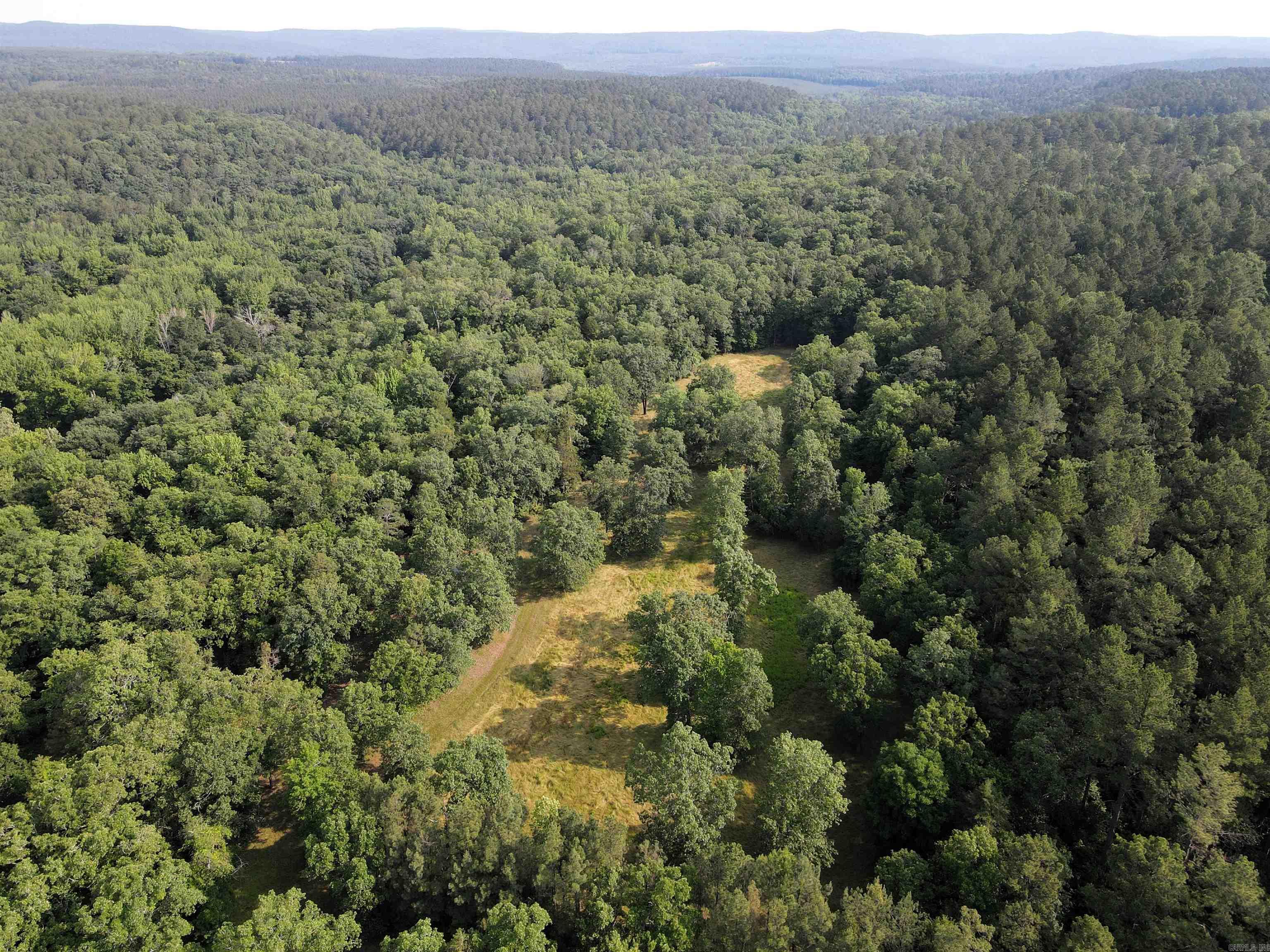 000 Drivers Creek  Scotland, AR