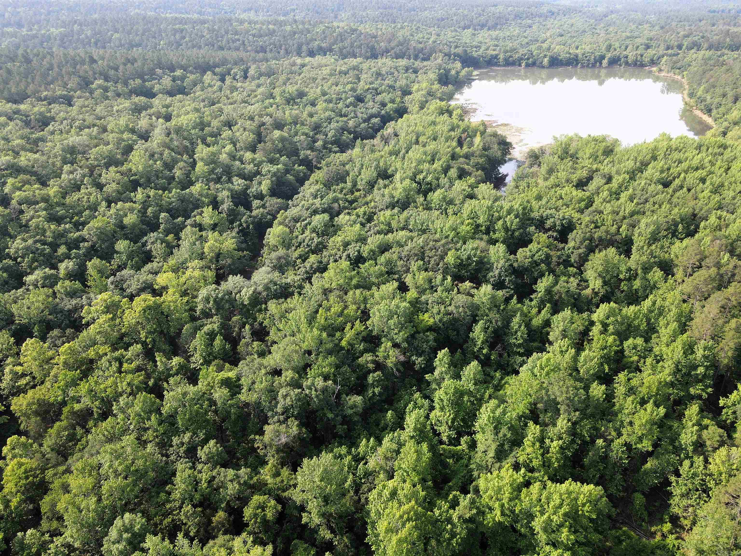 000 Drivers Creek  Scotland, AR