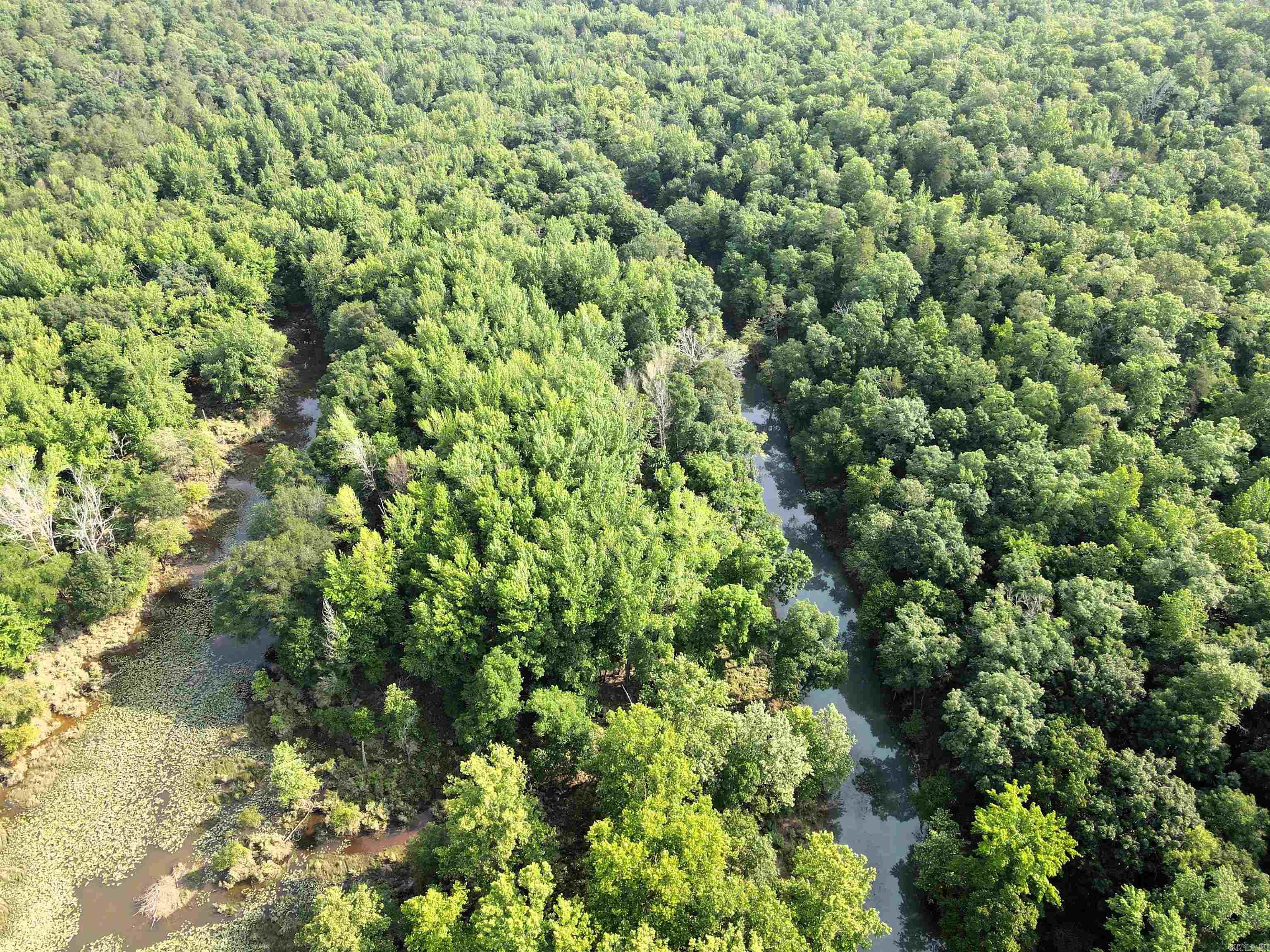 000 Drivers Creek  Scotland, AR