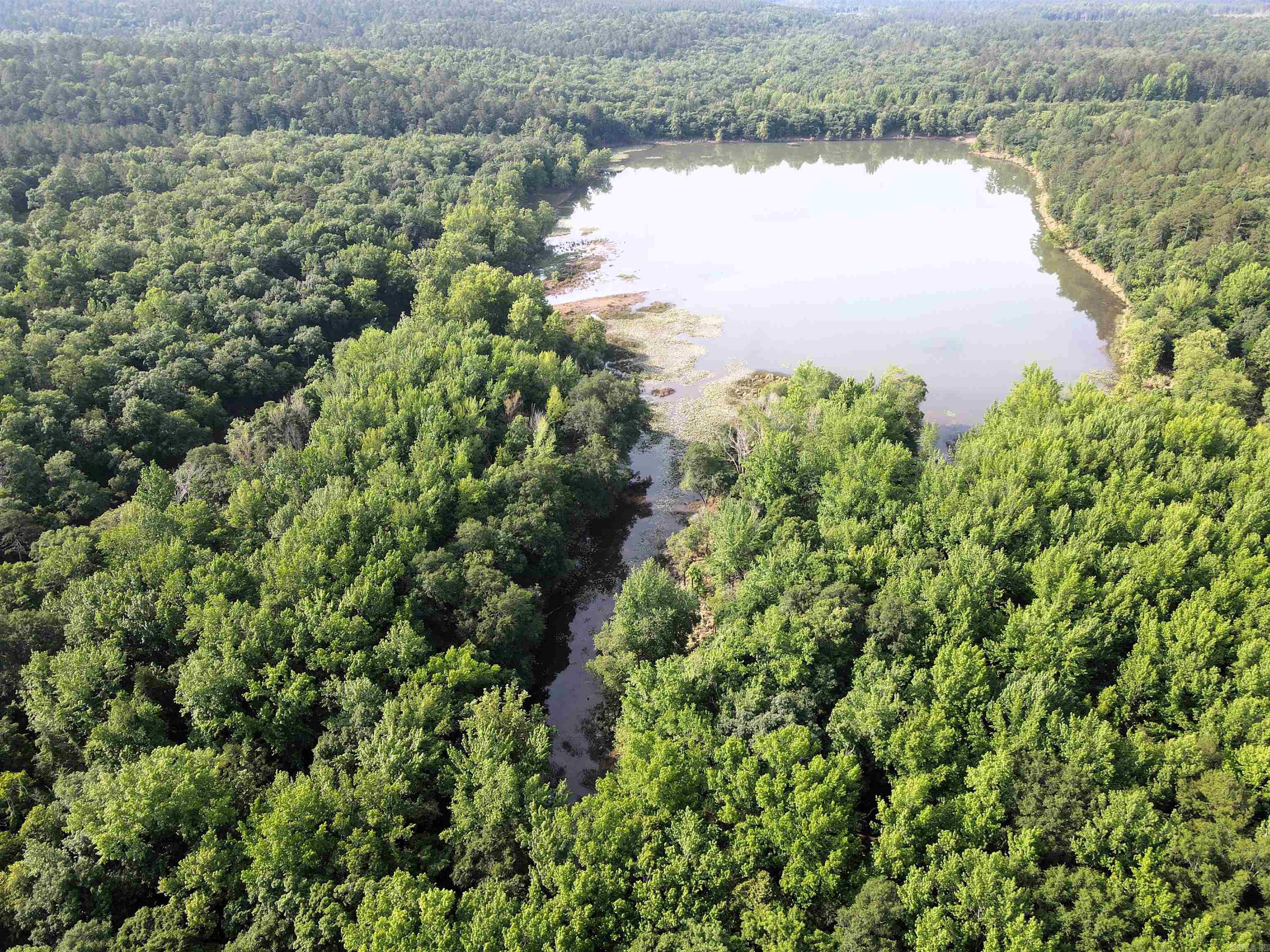 000 Drivers Creek  Scotland, AR