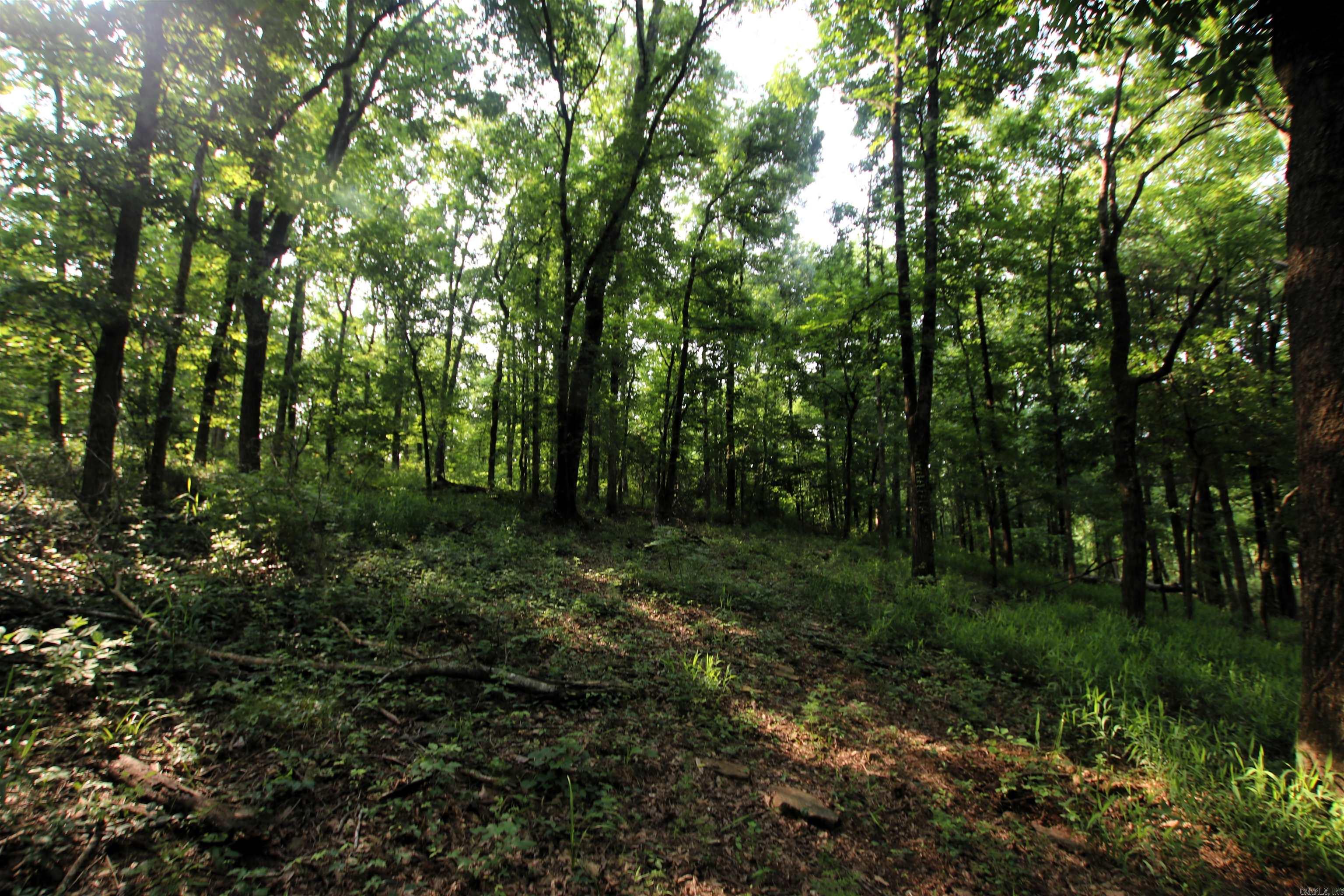 000 Drivers Creek  Scotland, AR