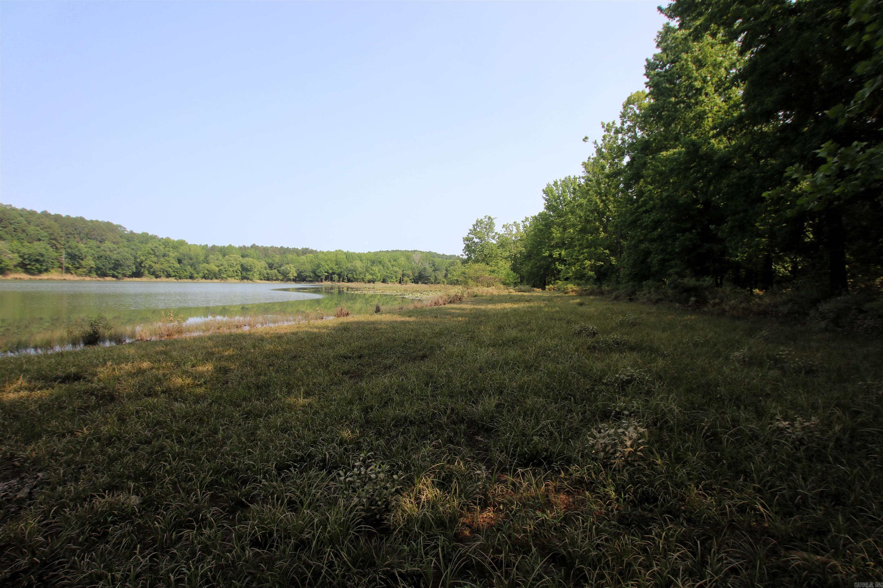 000 Drivers Creek  Scotland, AR