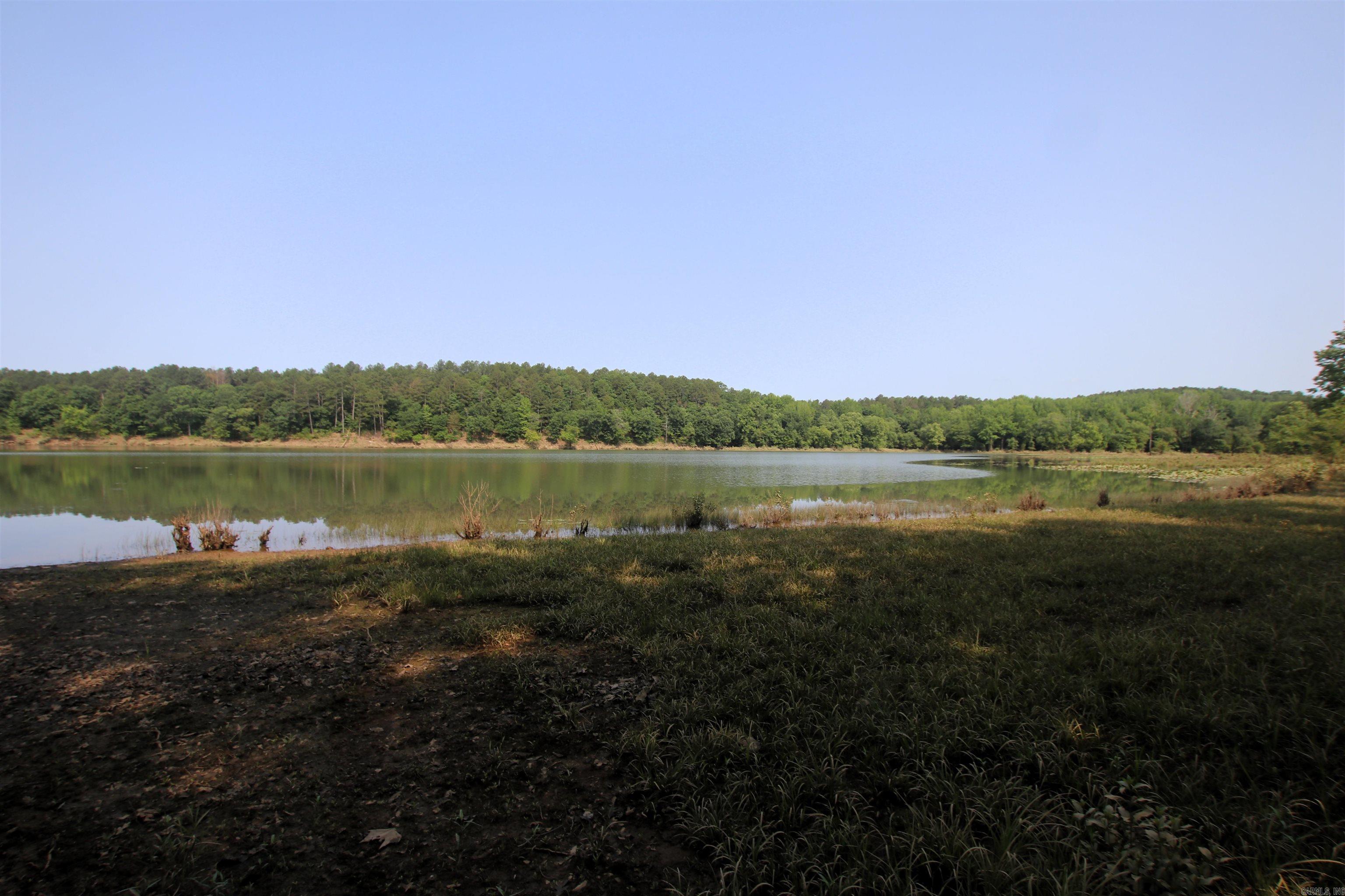000 Drivers Creek  Scotland, AR