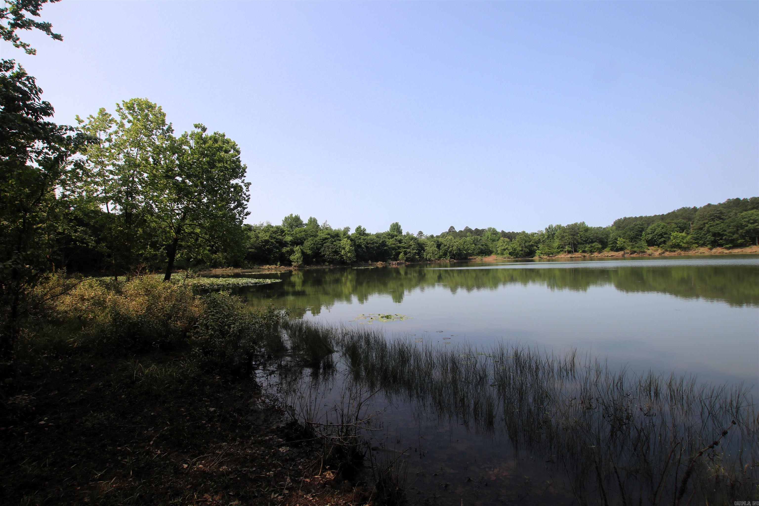 000 Drivers Creek  Scotland, AR