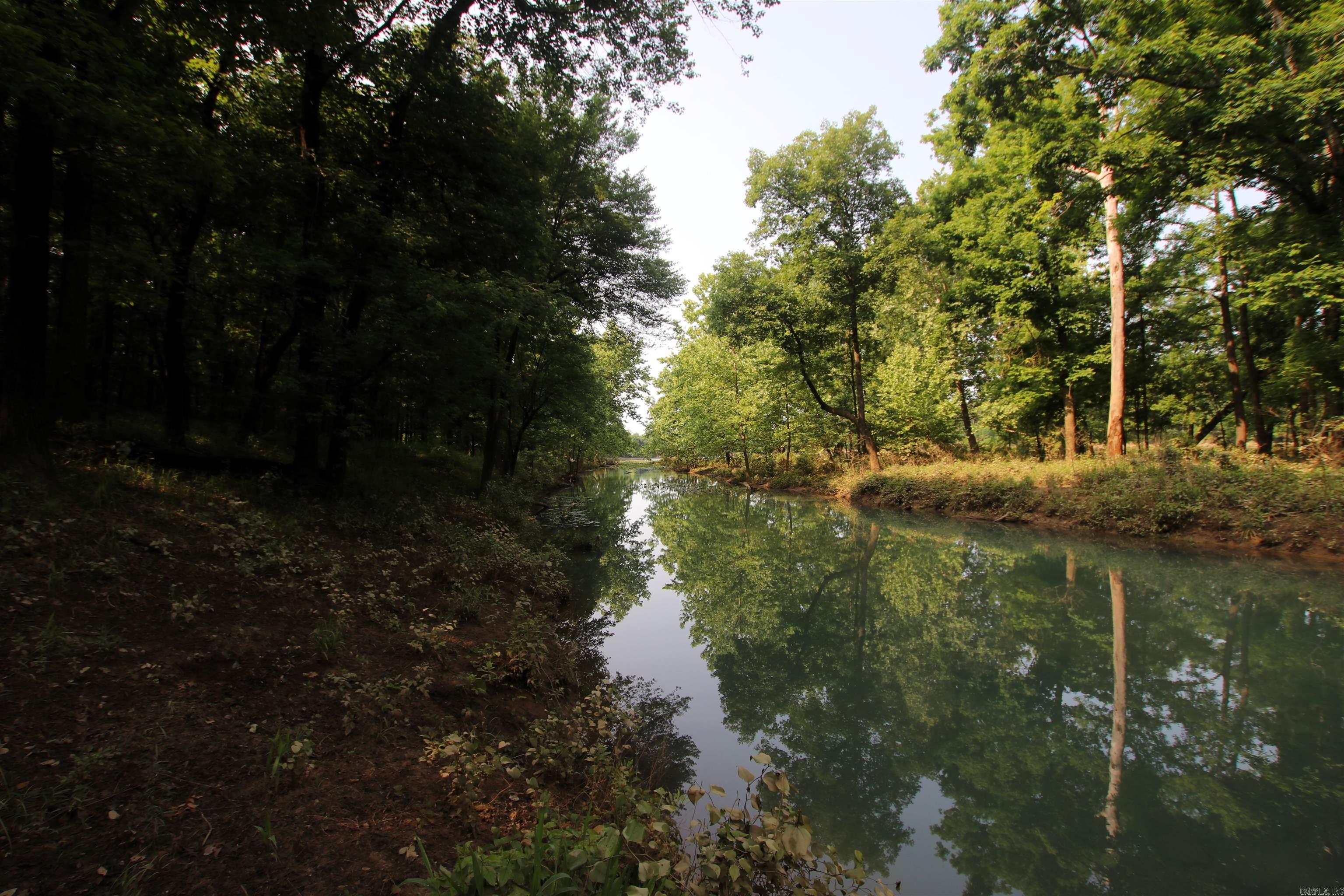 000 Drivers Creek  Scotland, AR