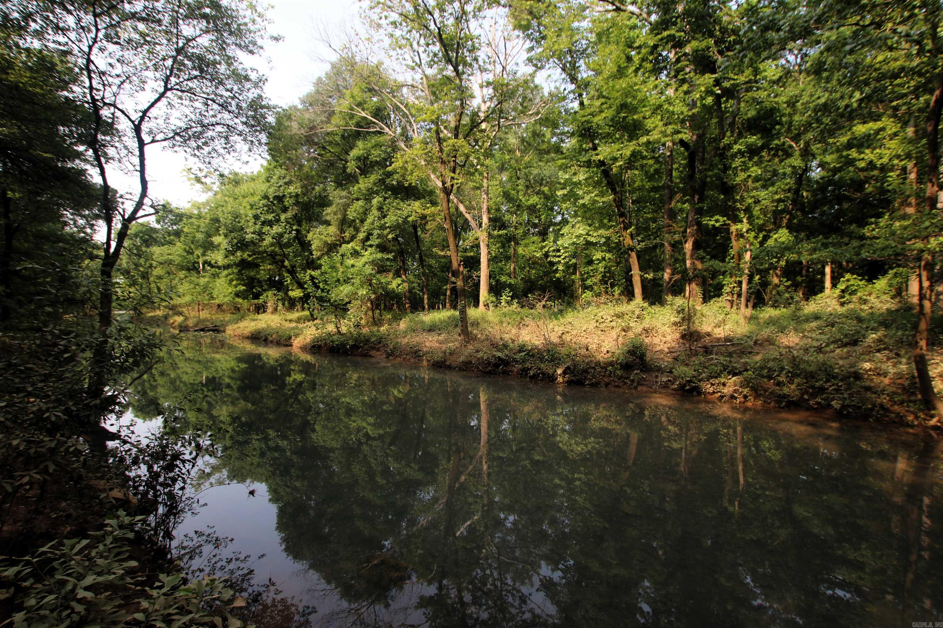 000 Drivers Creek  Scotland, AR