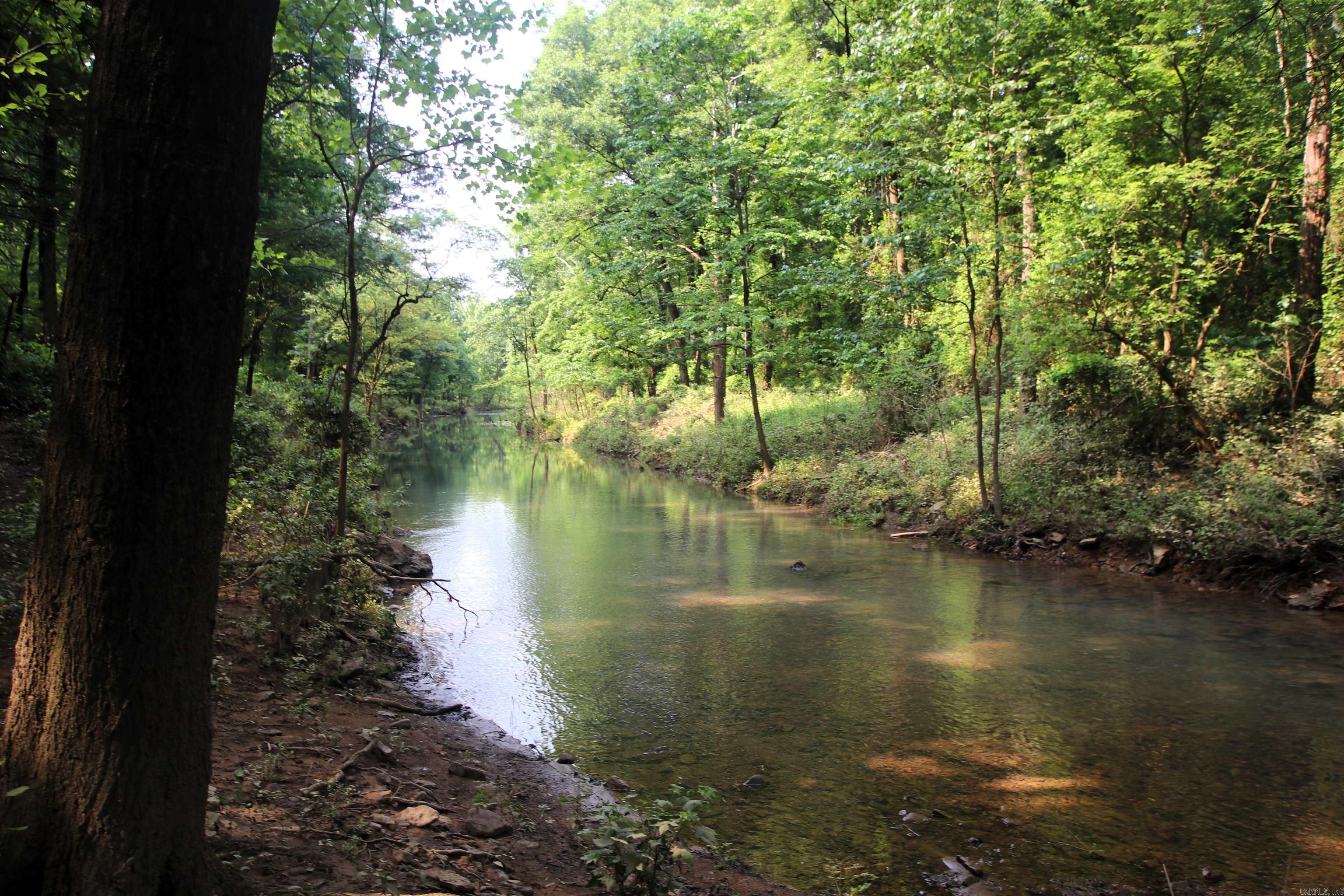000 Drivers Creek  Scotland, AR