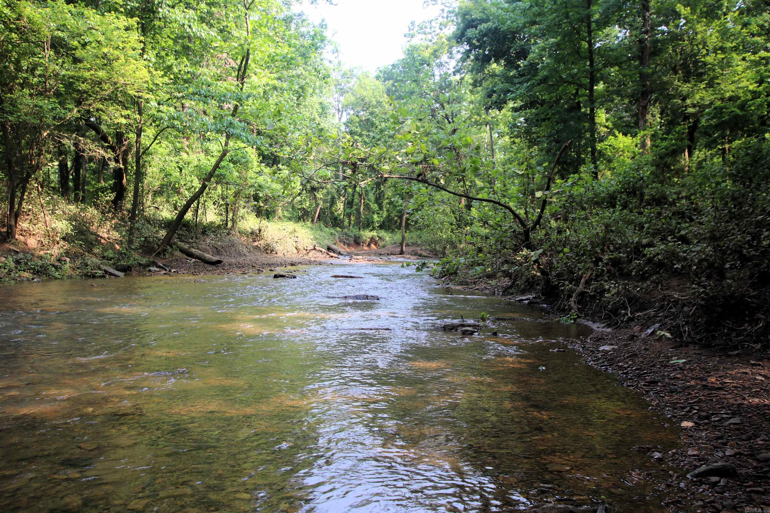 000 Drivers Creek  Scotland, AR