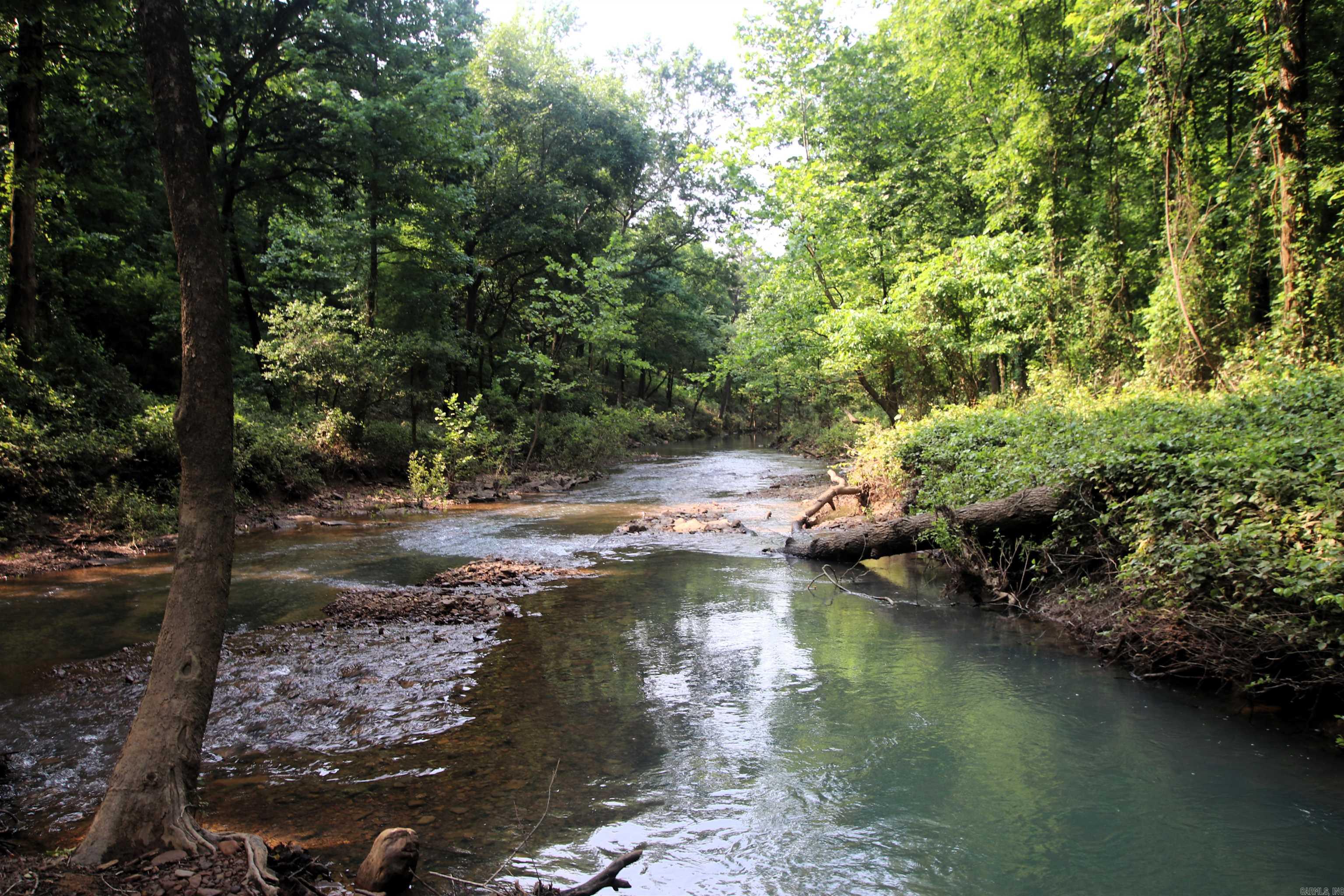 000 Drivers Creek  Scotland, AR
