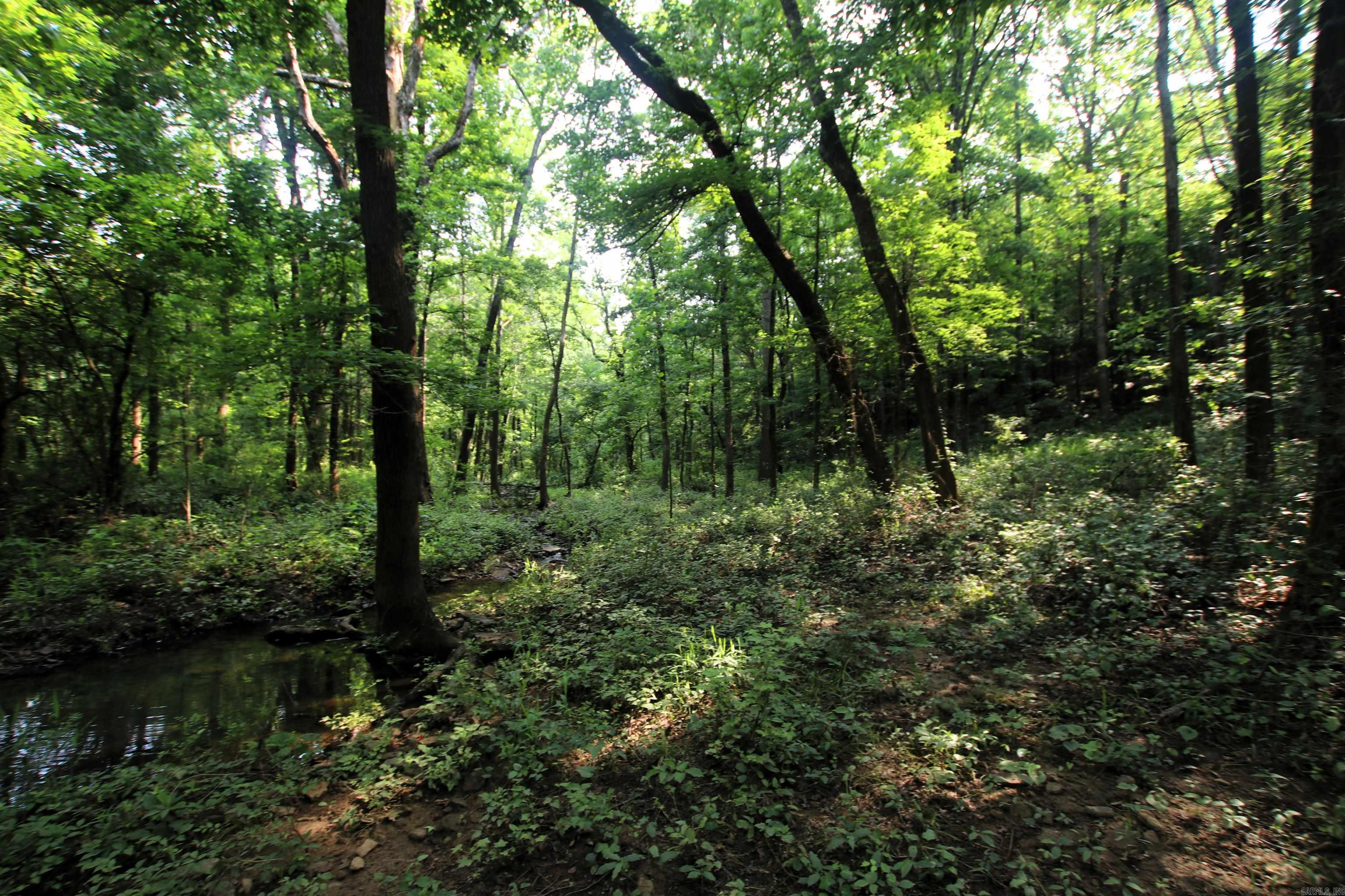 000 Drivers Creek  Scotland, AR