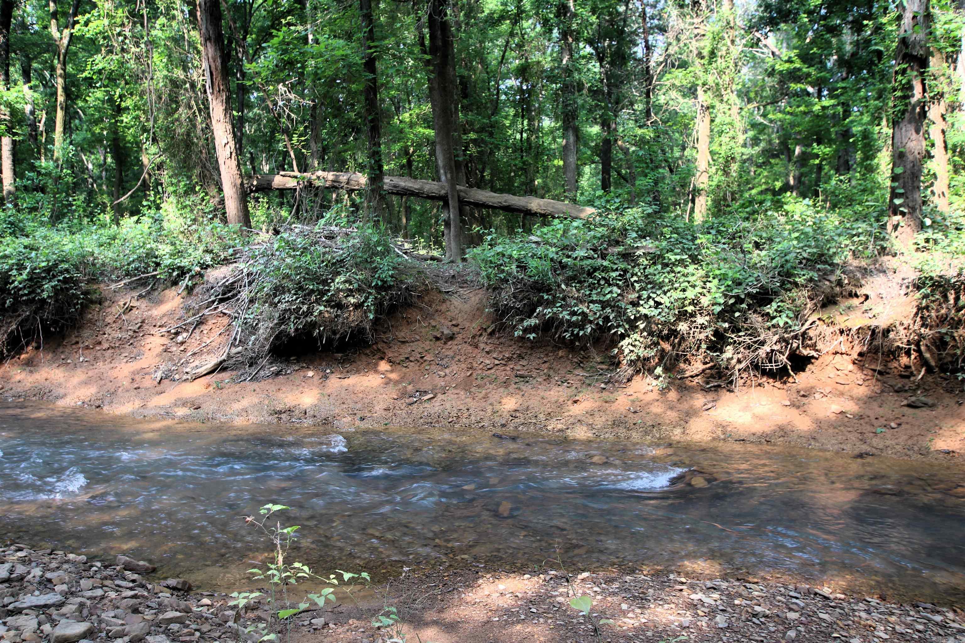 000 Drivers Creek  Scotland, AR