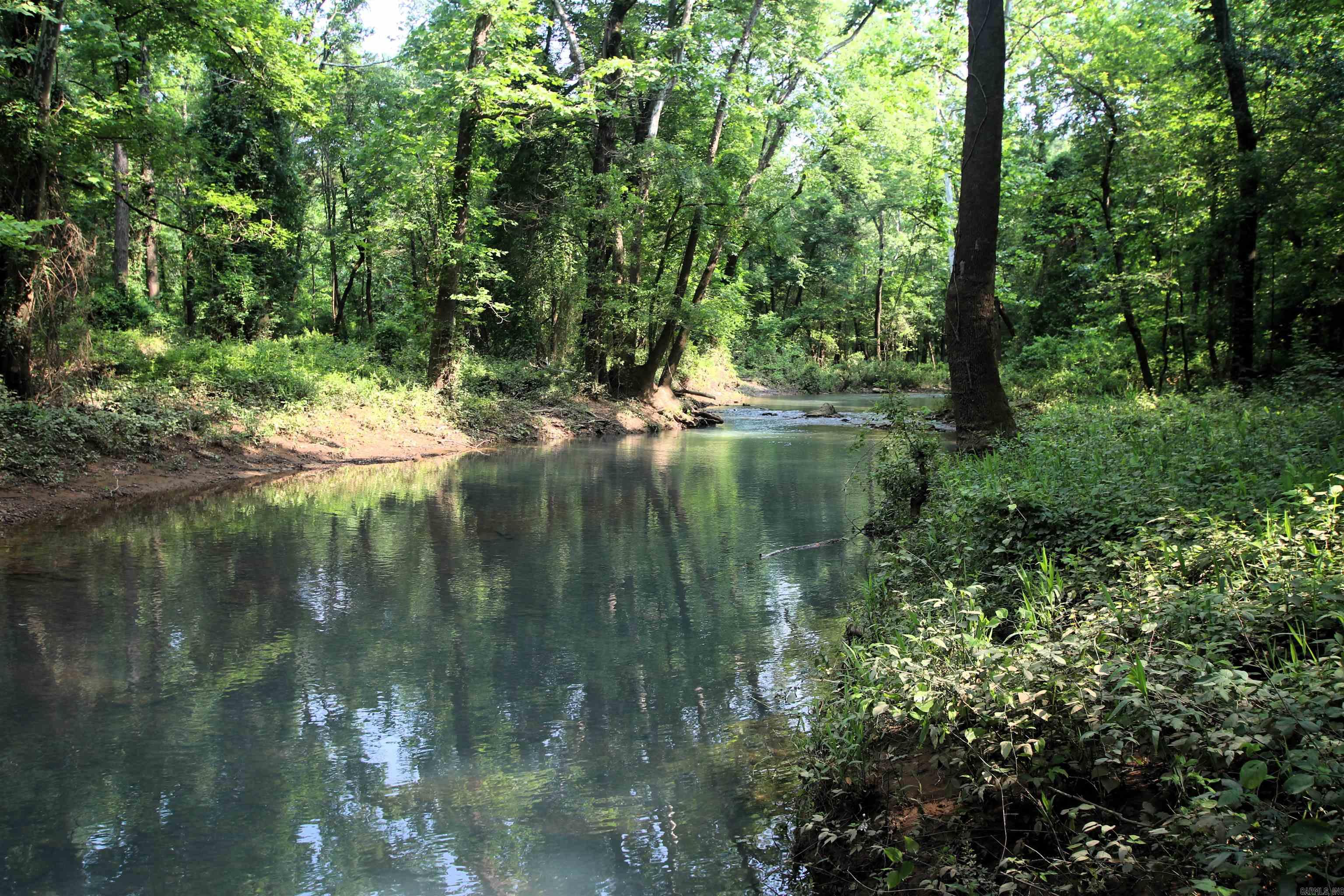 000 Drivers Creek  Scotland, AR