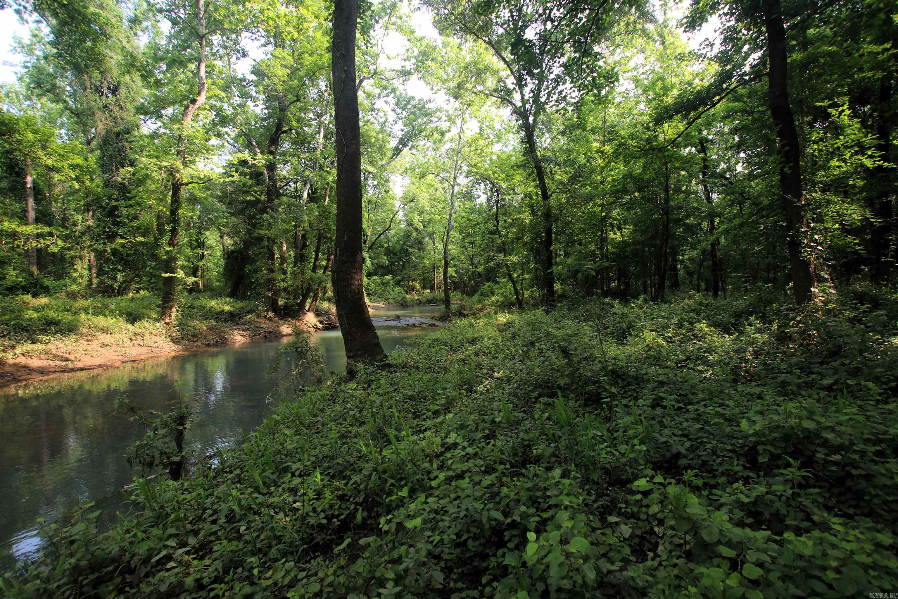 000 Drivers Creek  Scotland, AR