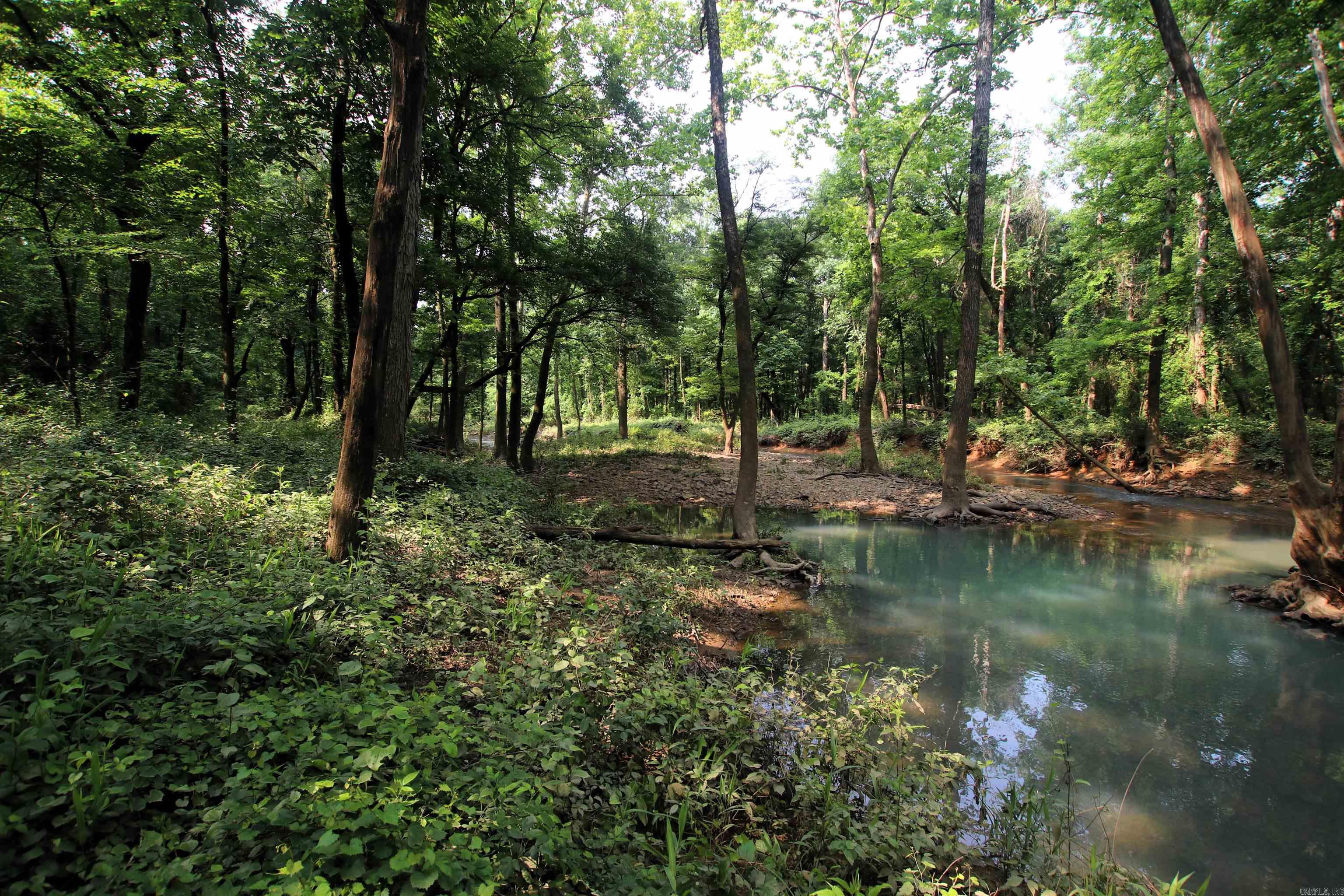 000 Drivers Creek  Scotland, AR