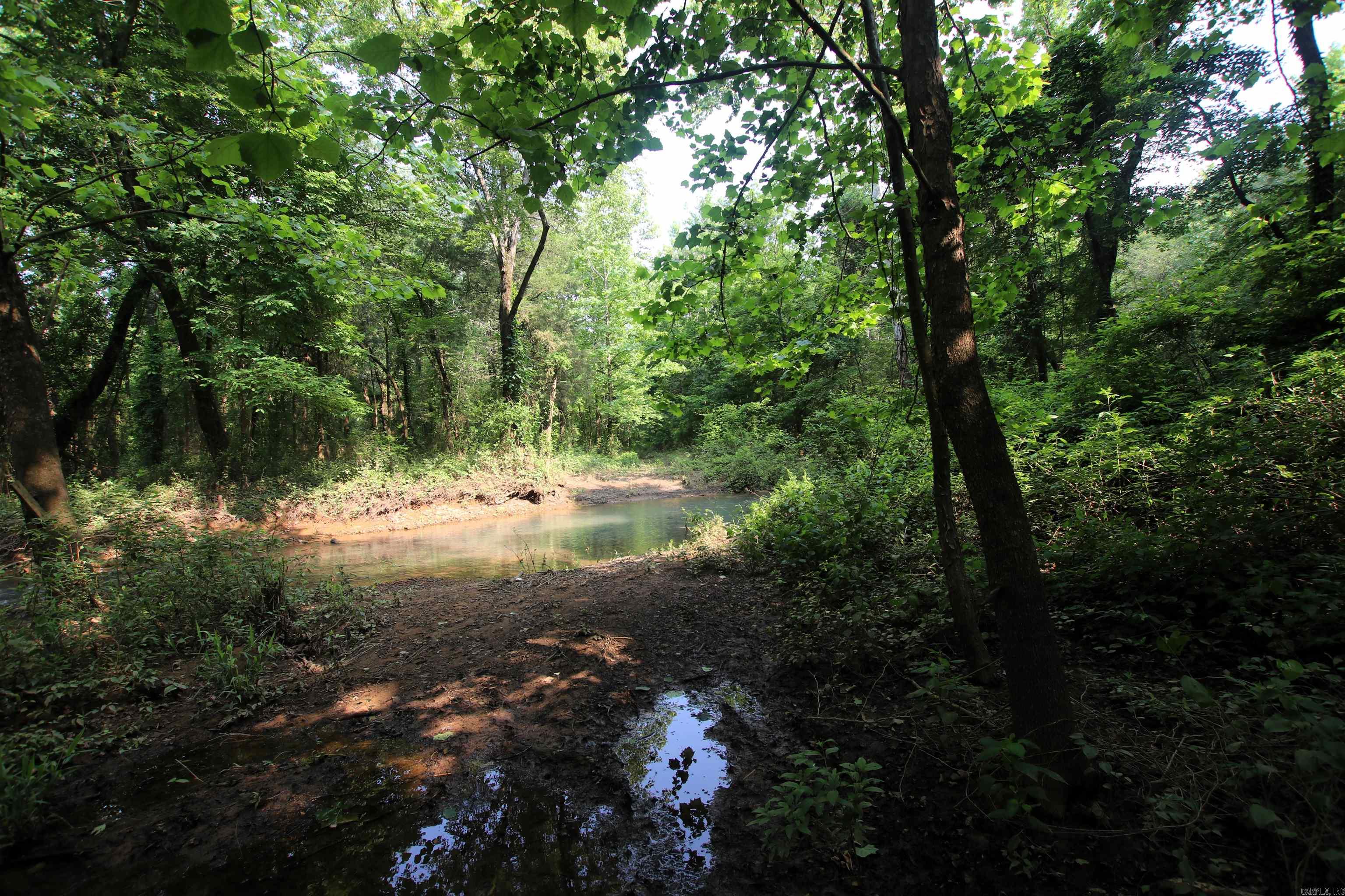 000 Drivers Creek  Scotland, AR