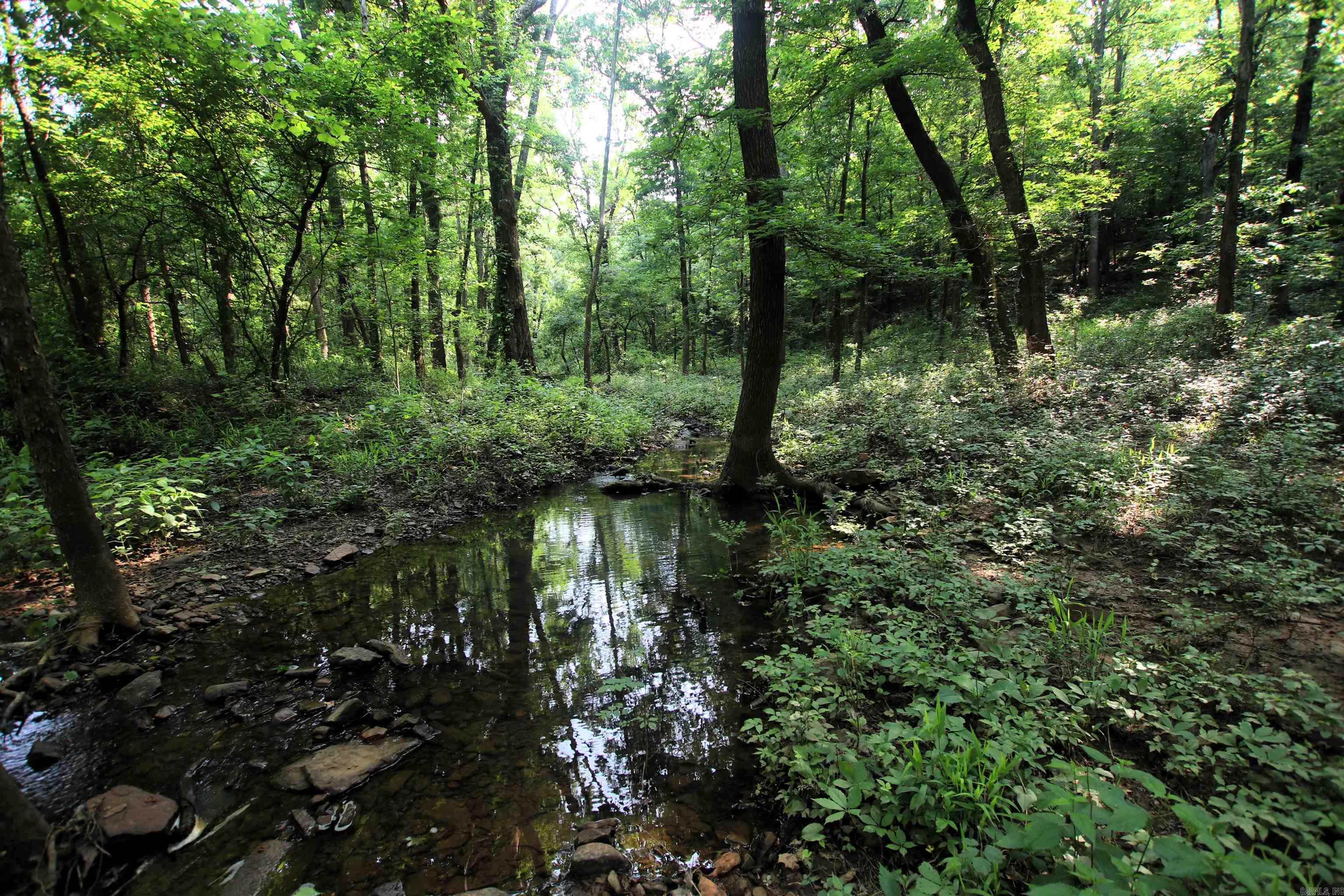 000 Drivers Creek  Scotland, AR