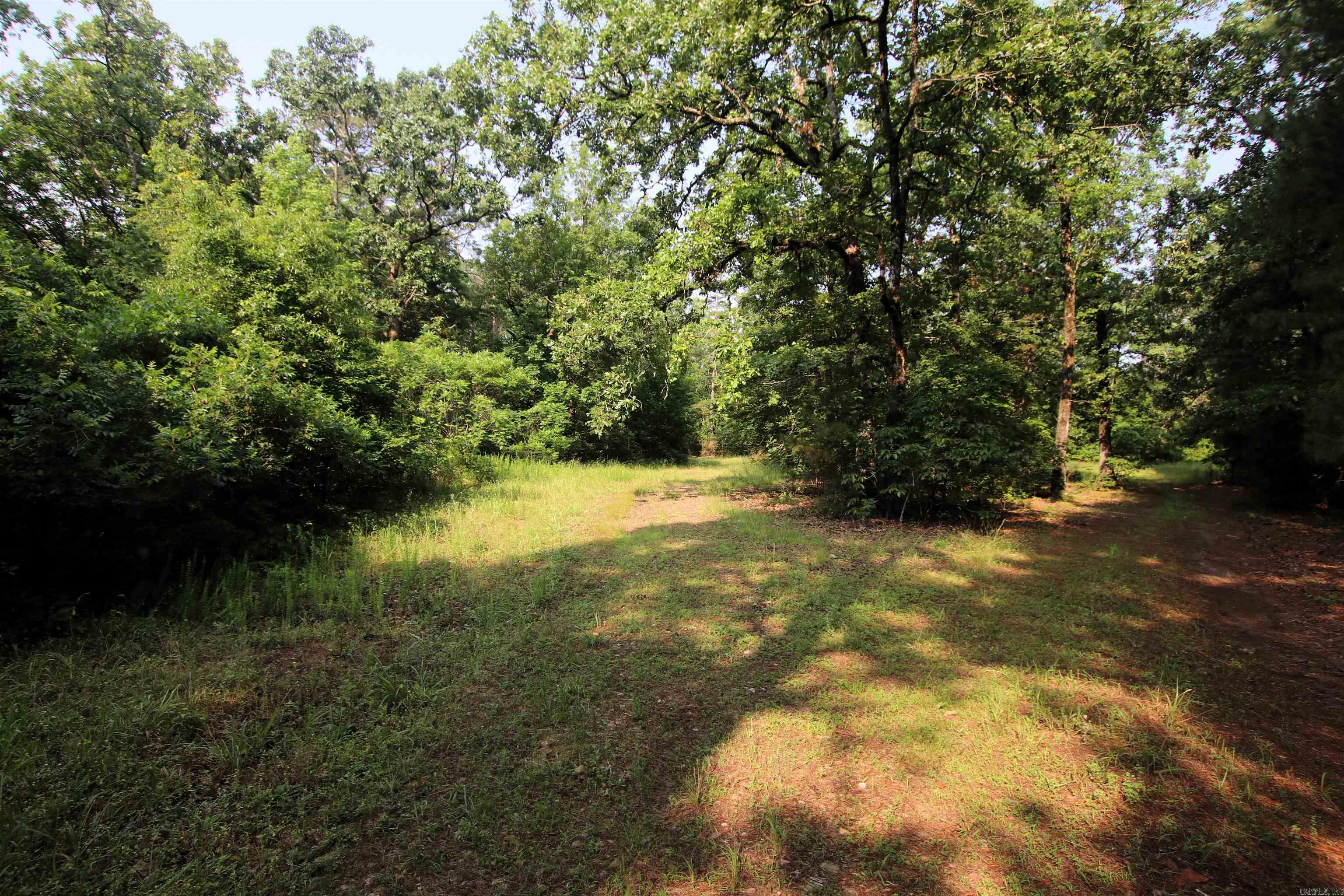 000 Drivers Creek  Scotland, AR