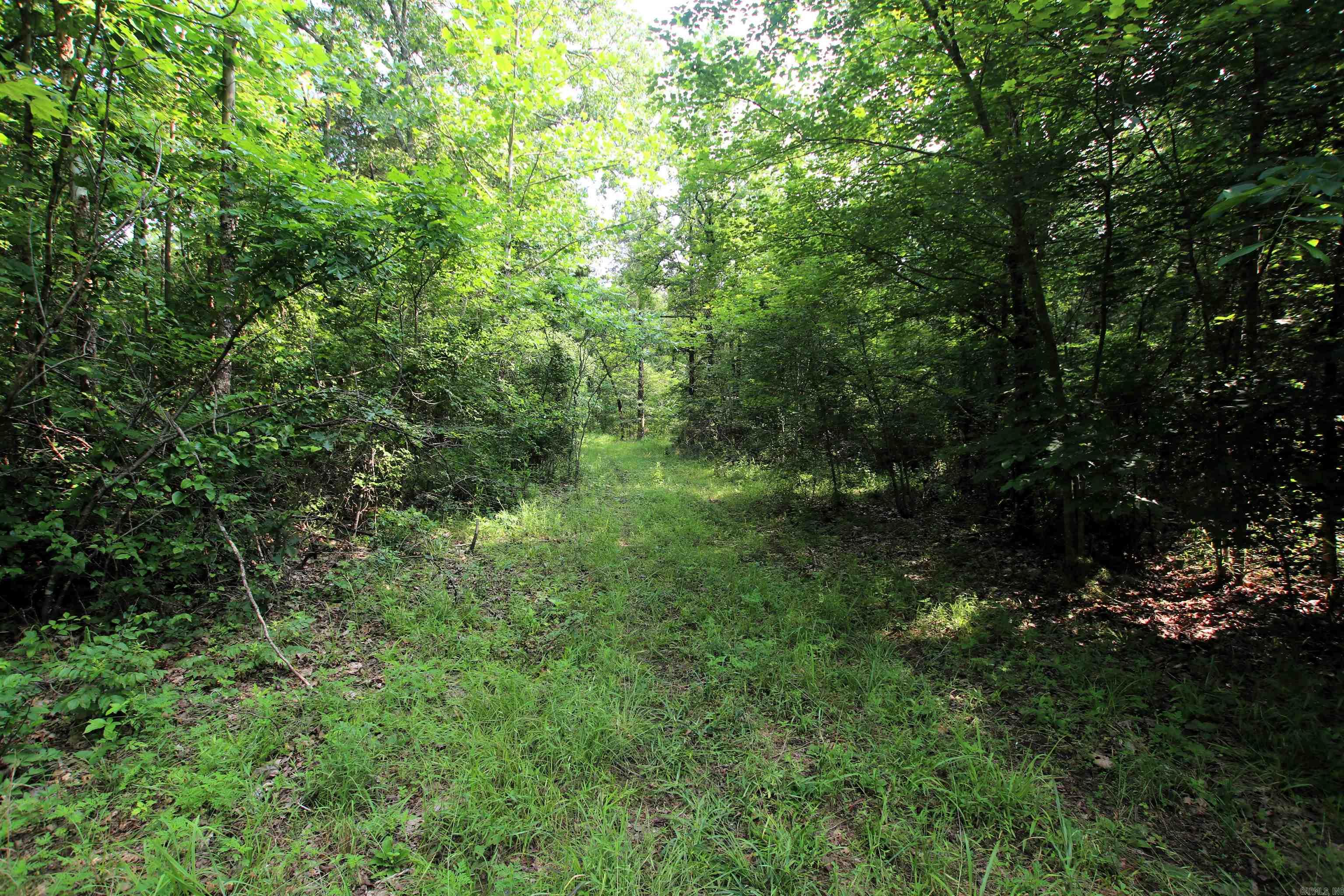 000 Drivers Creek  Scotland, AR