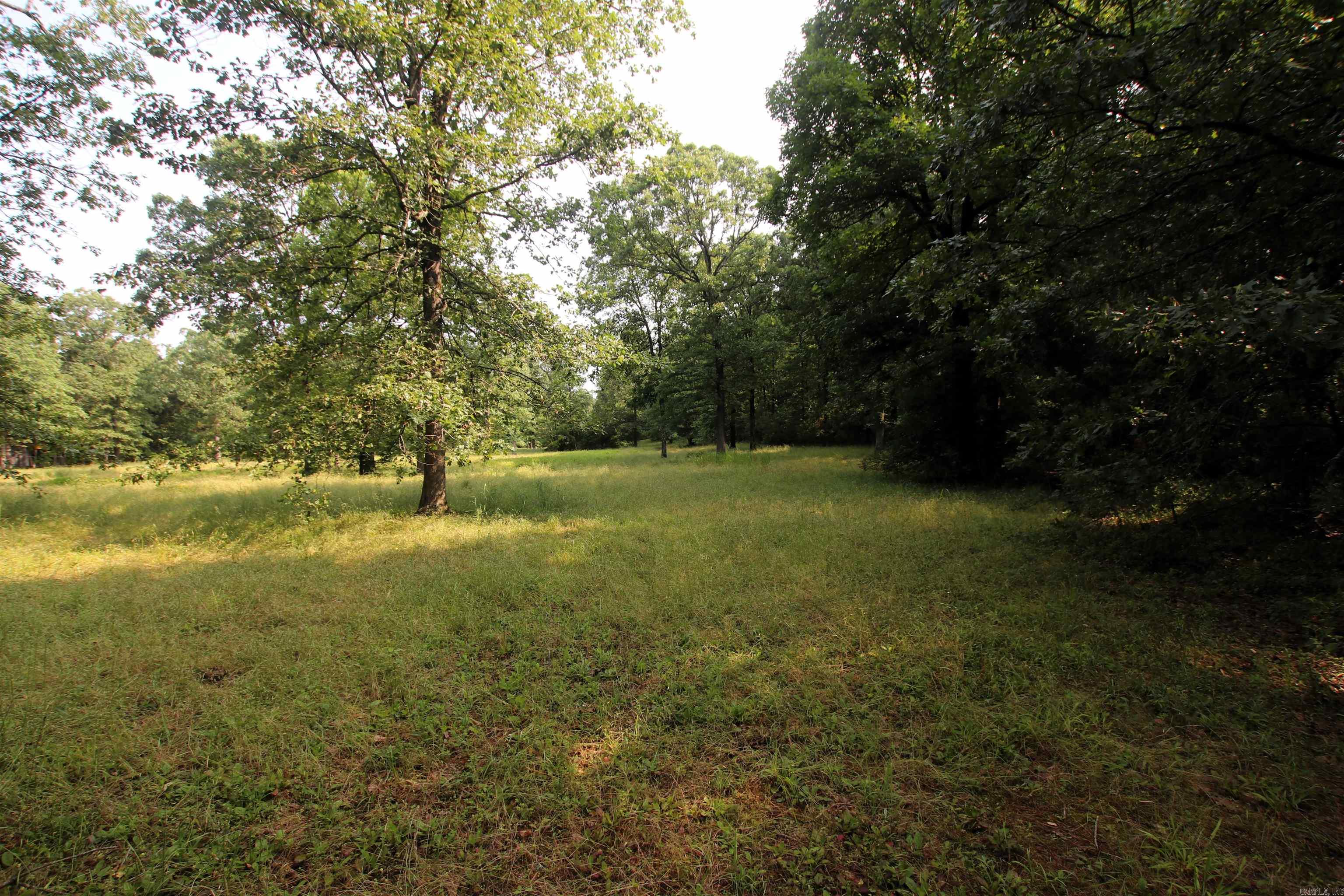 000 Drivers Creek  Scotland, AR