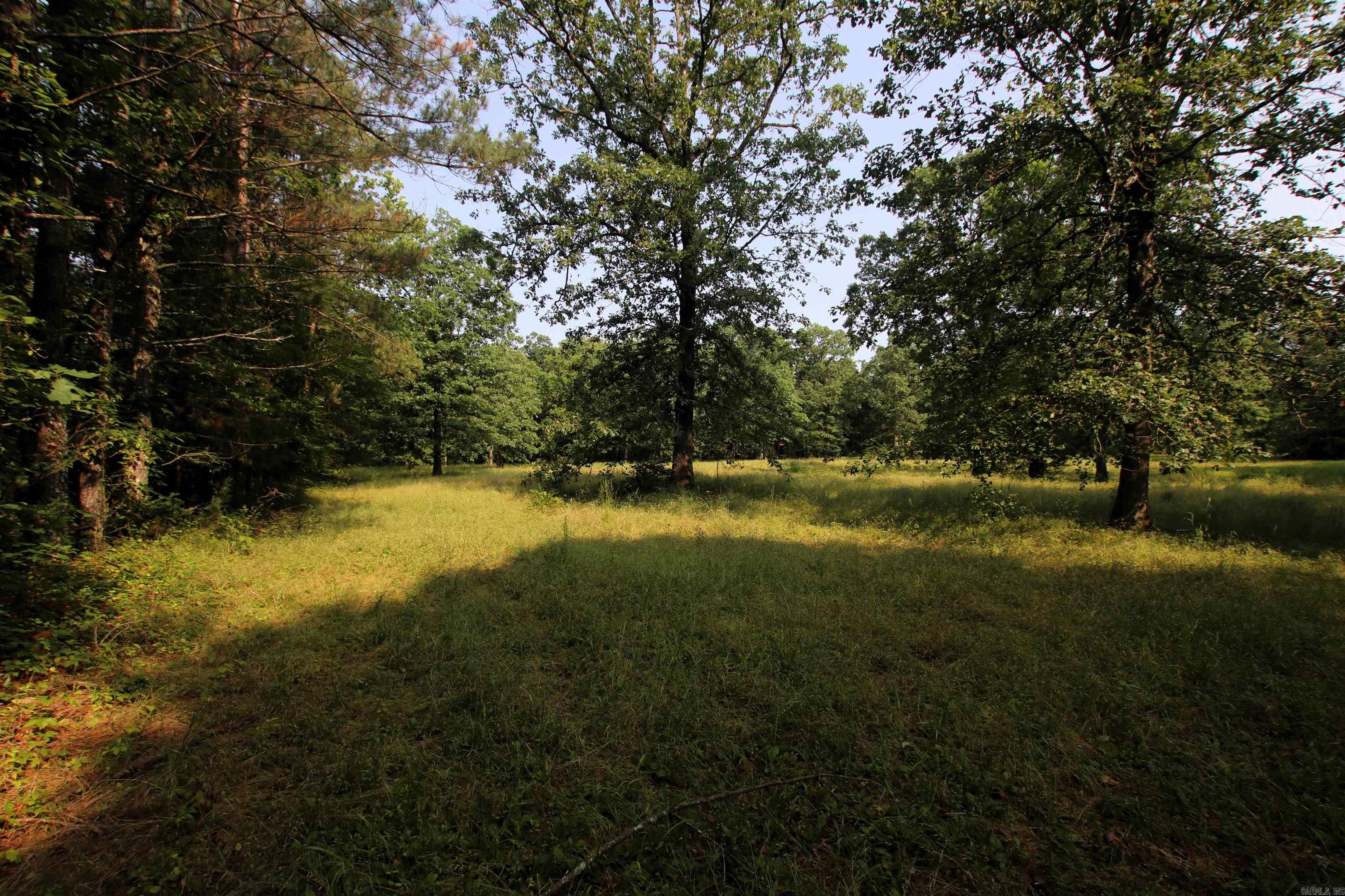 000 Drivers Creek  Scotland, AR