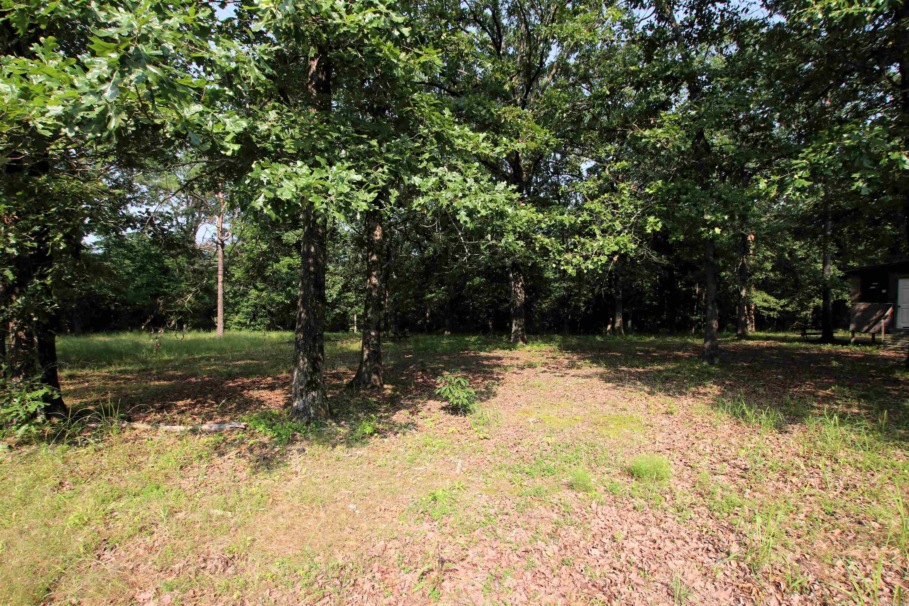 000 Drivers Creek  Scotland, AR