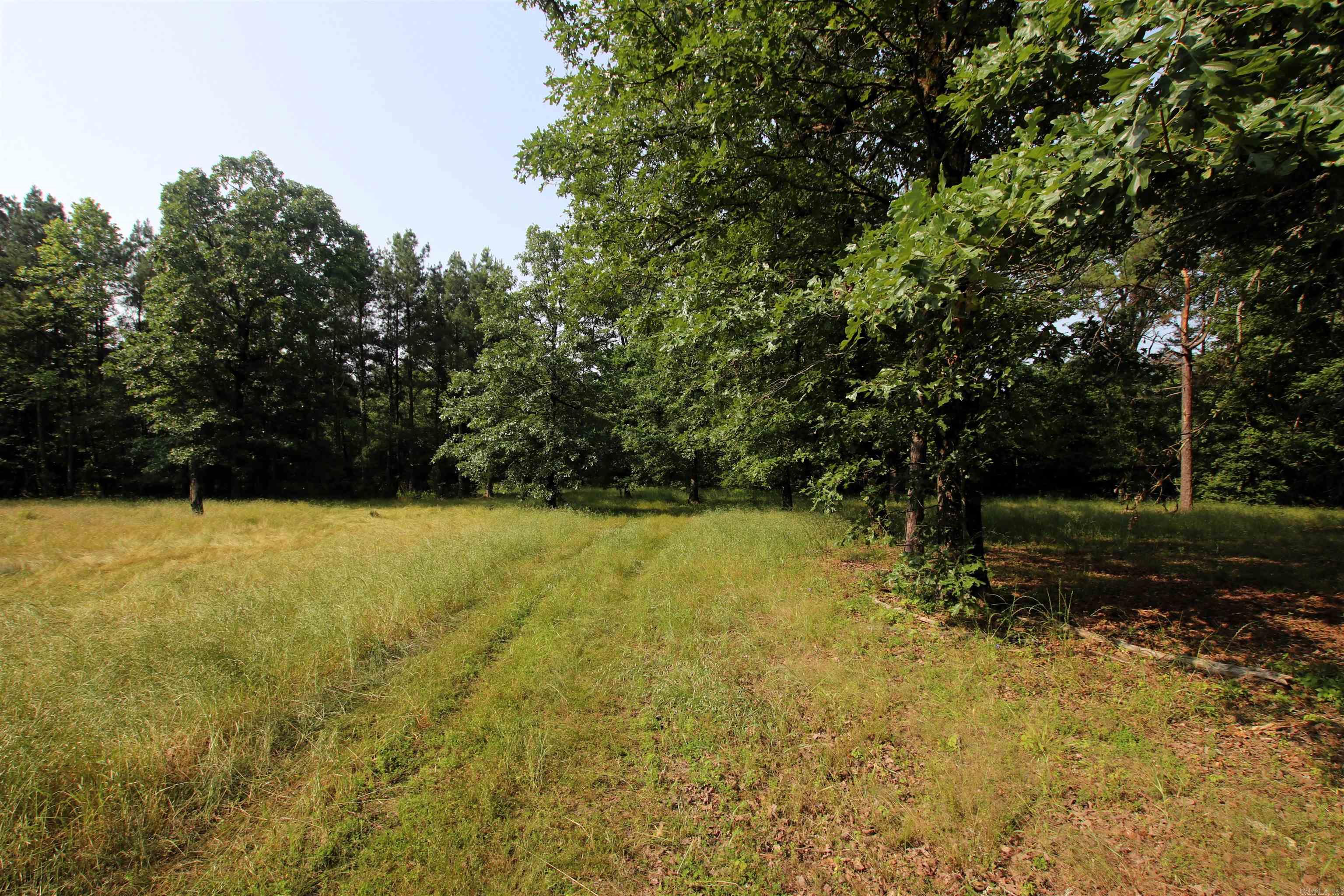 000 Drivers Creek  Scotland, AR