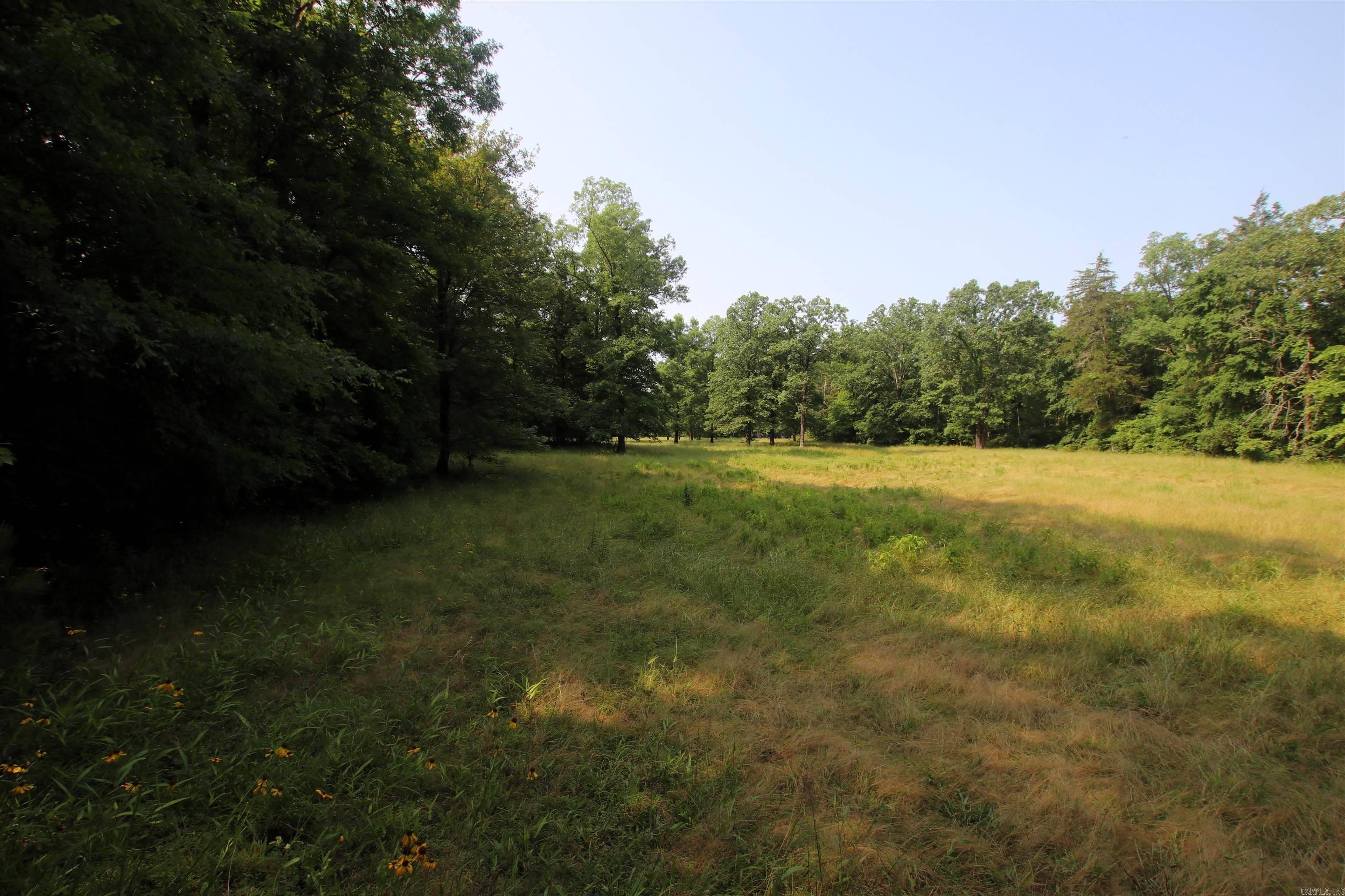 000 Drivers Creek  Scotland, AR