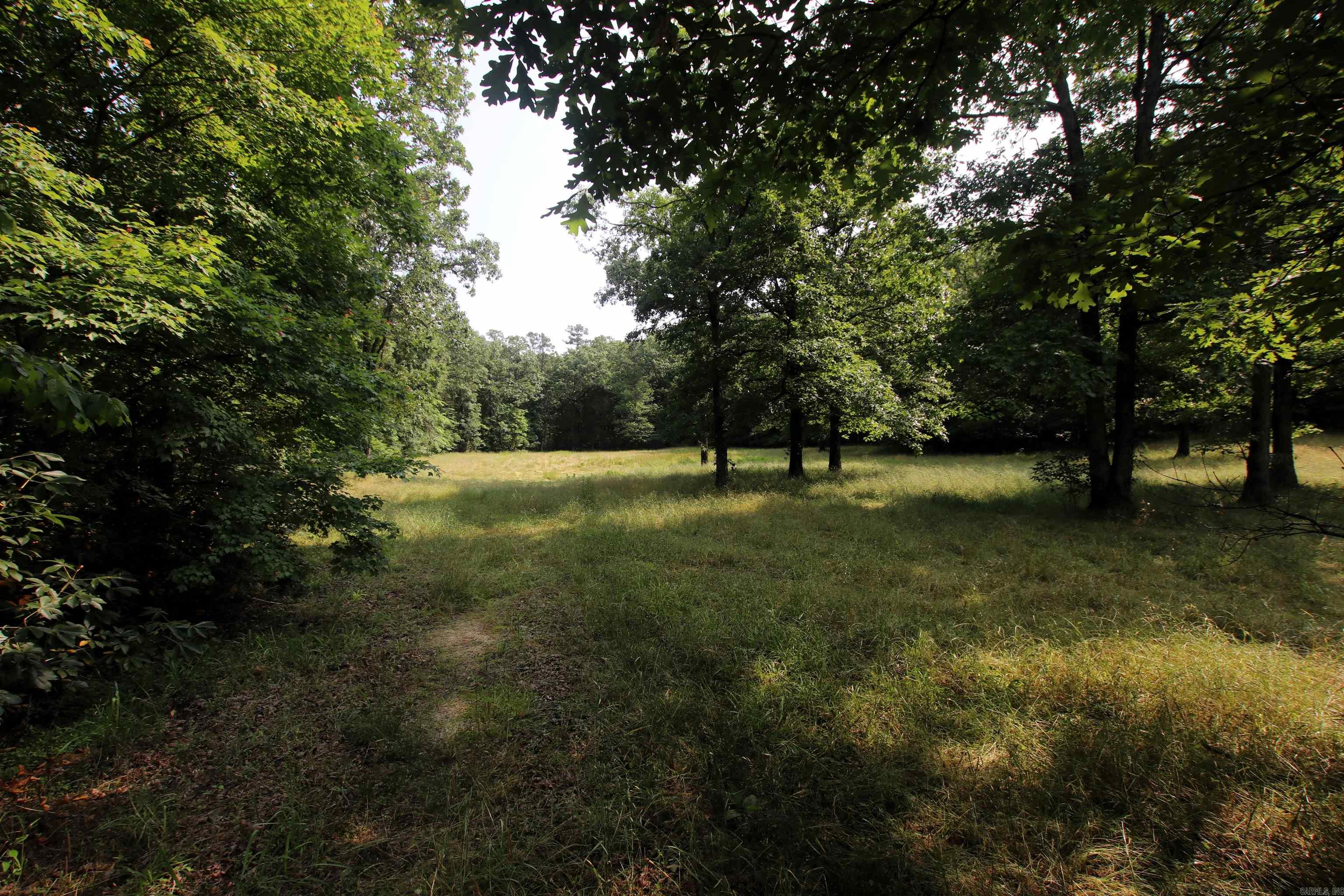 000 Drivers Creek  Scotland, AR