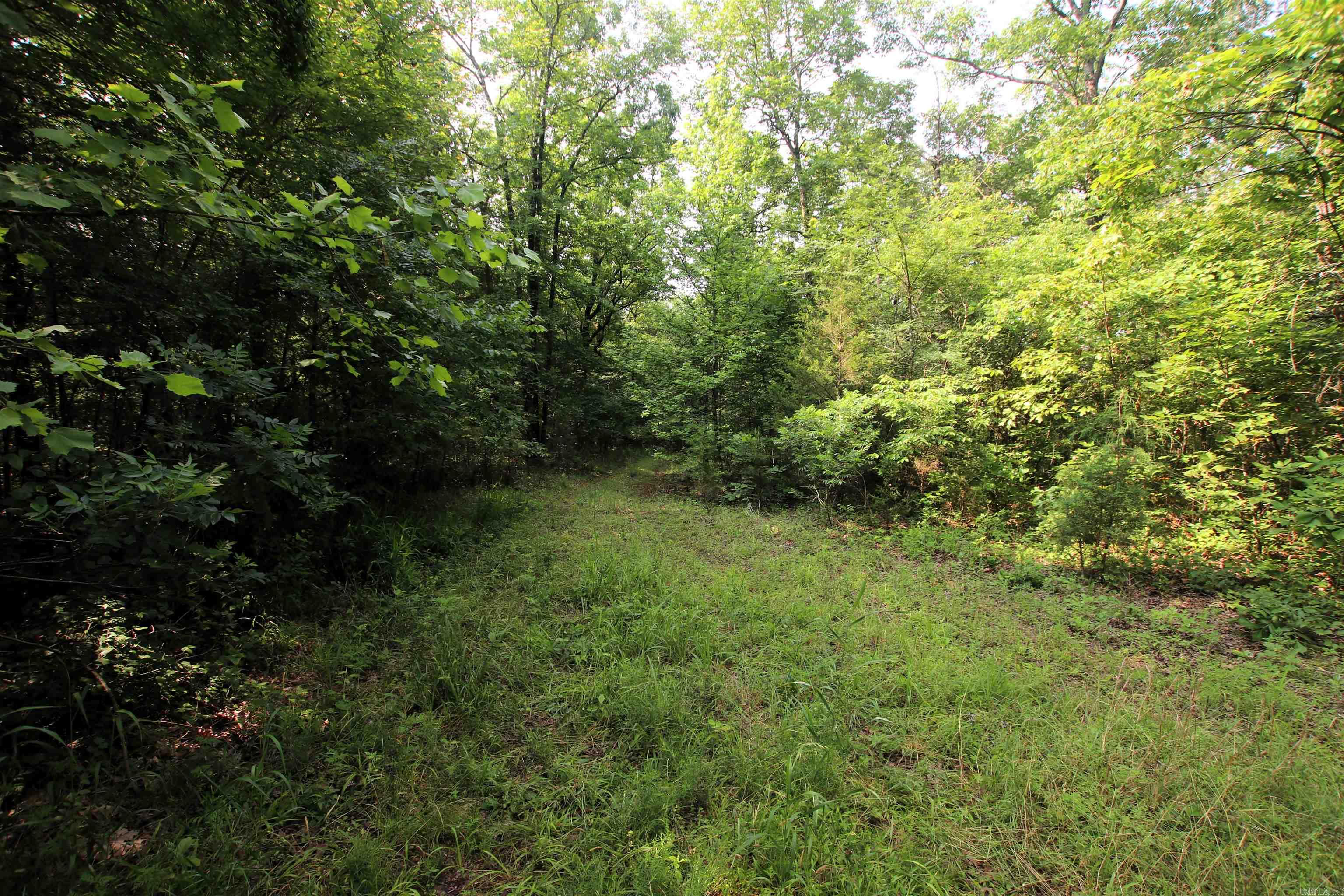 000 Drivers Creek  Scotland, AR