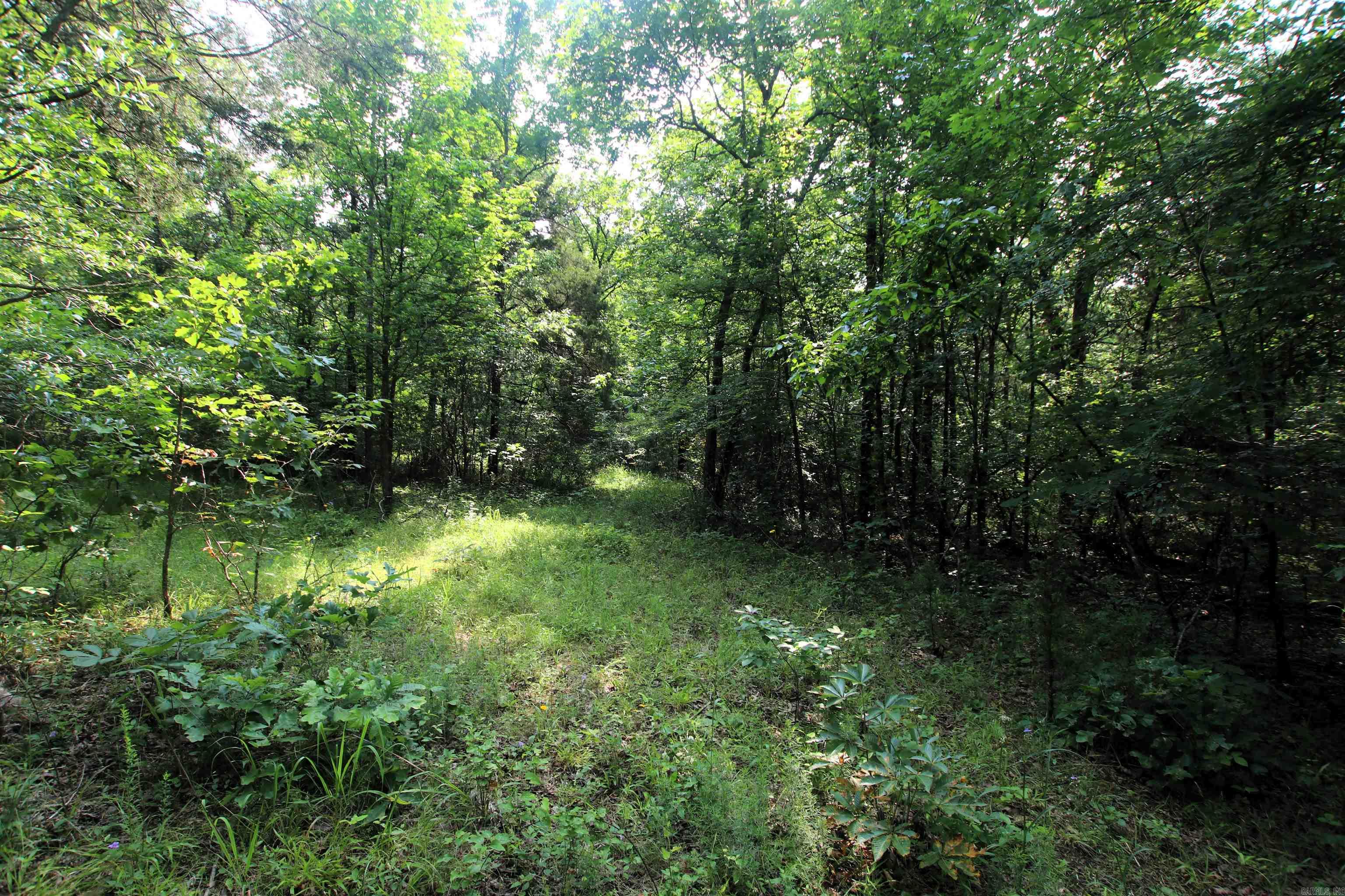 000 Drivers Creek  Scotland, AR