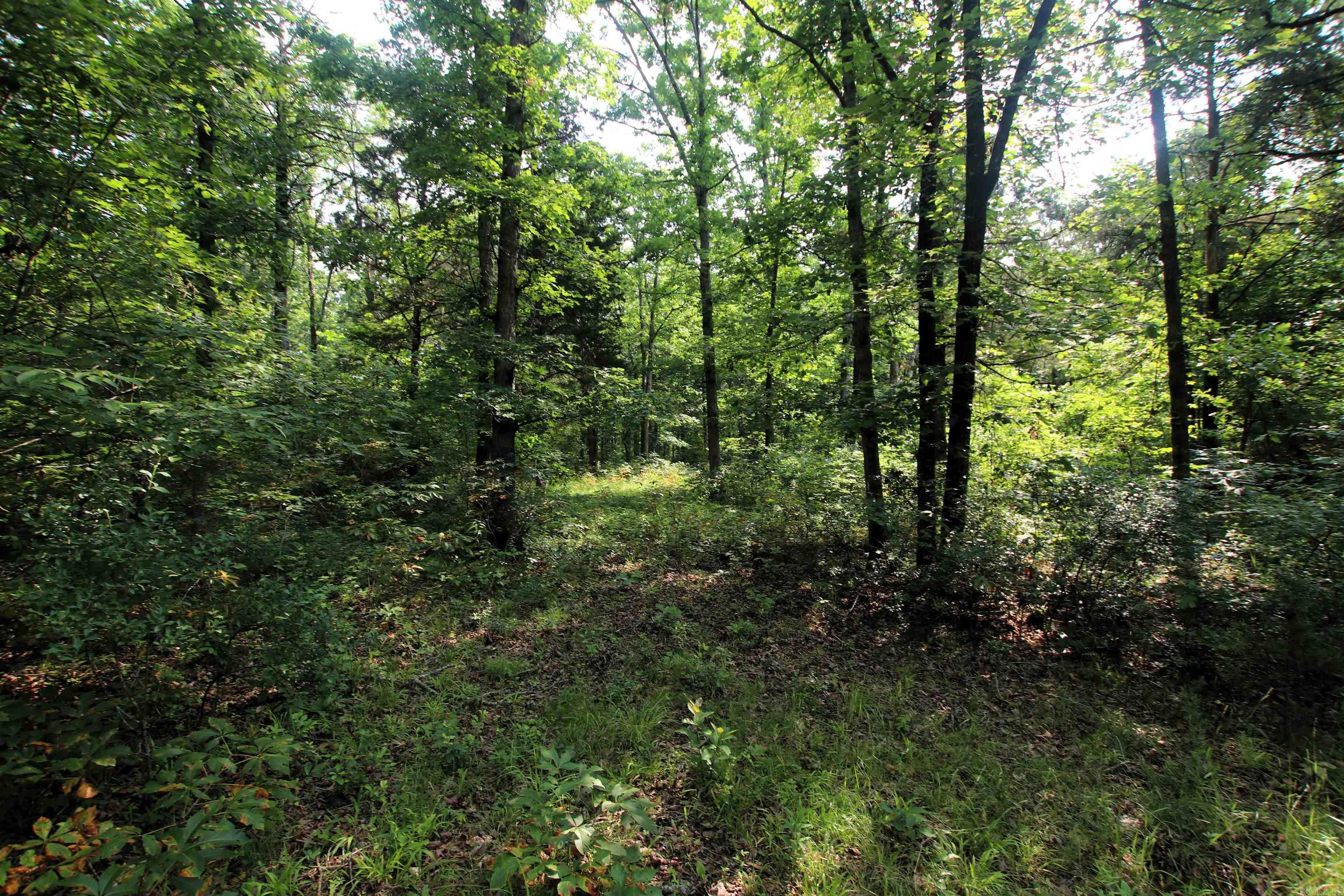 000 Drivers Creek  Scotland, AR