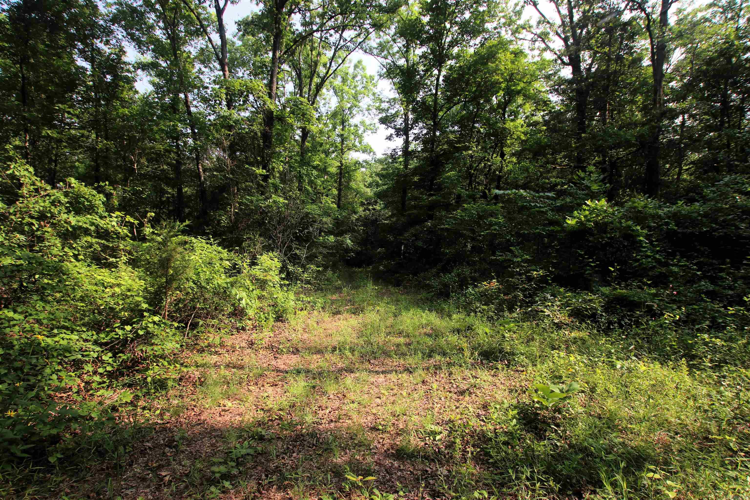 000 Drivers Creek  Scotland, AR