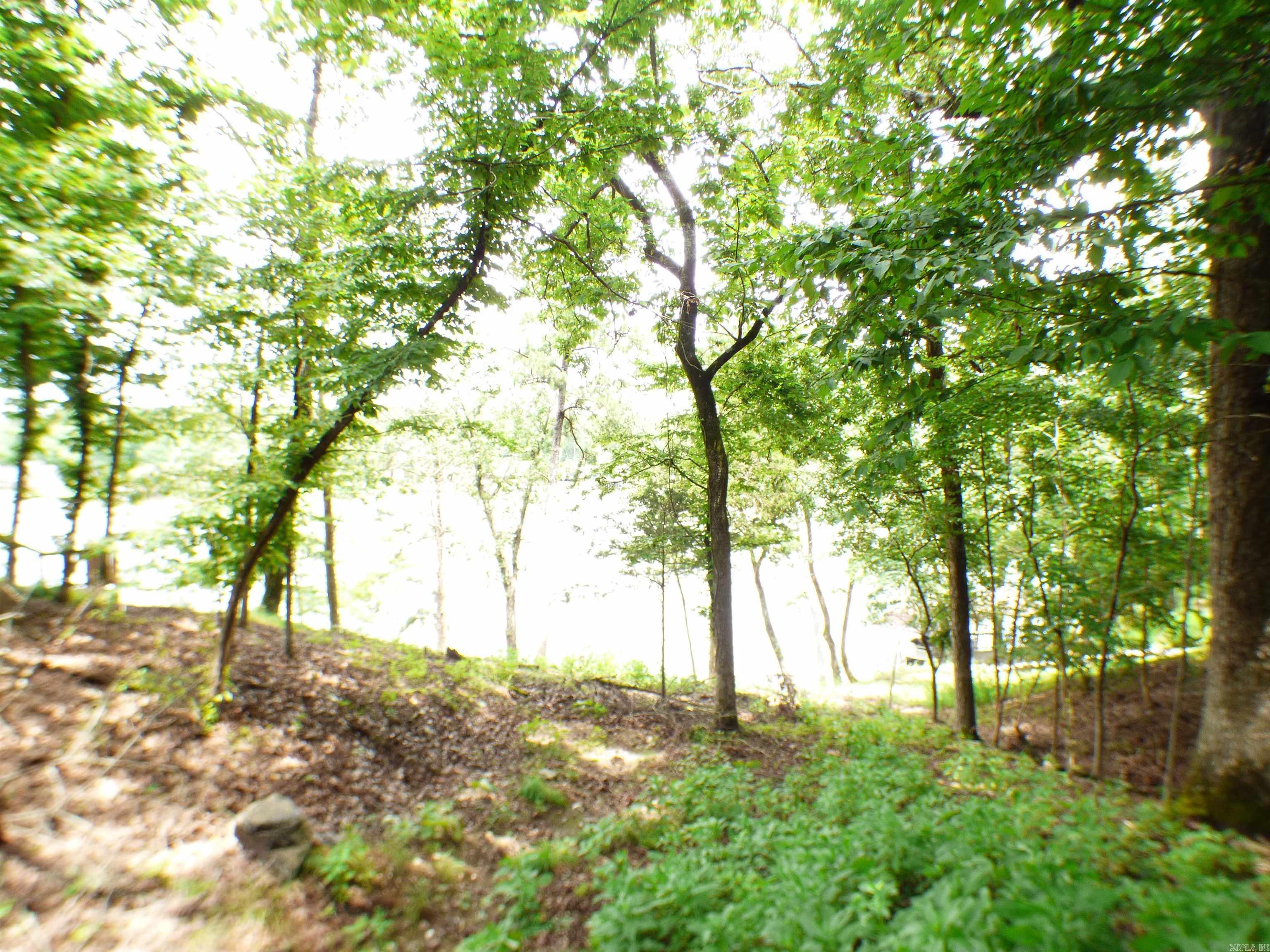 lOT 13 Timberlake  Royal, AR