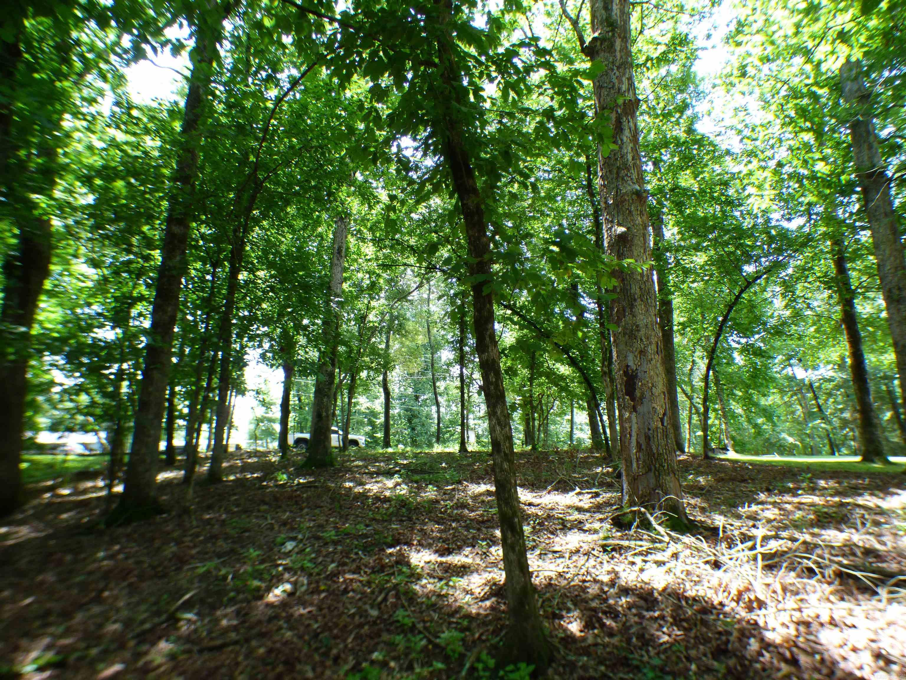 lOT 13 Timberlake  Royal, AR